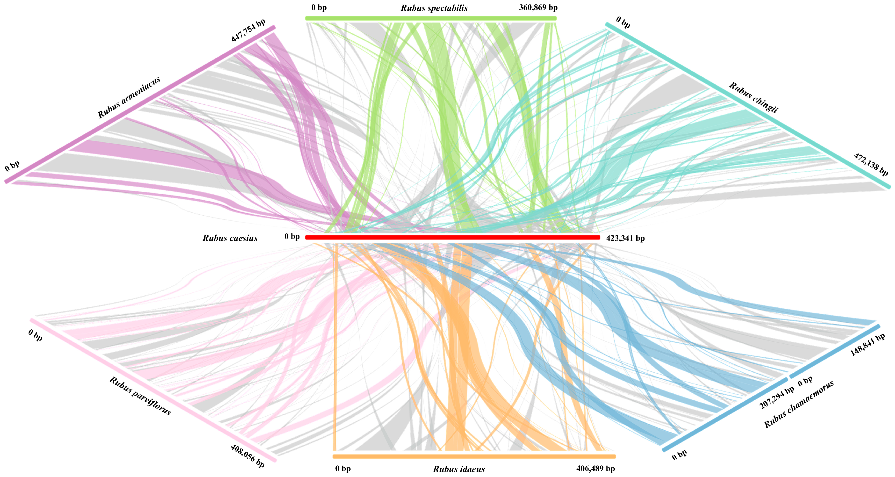 Horticulturae 11 00559 g007 Horticulturae 11 00559 g007
