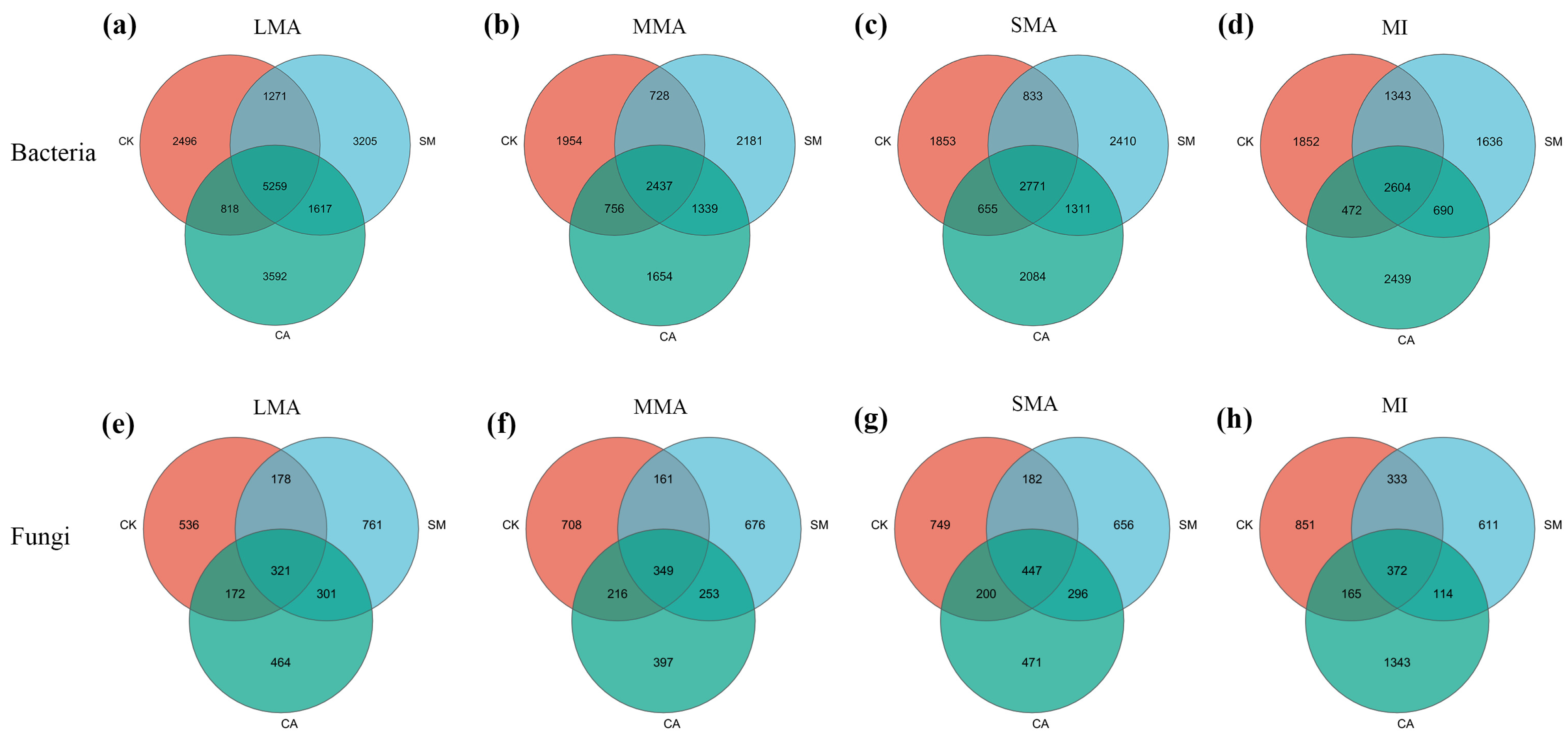 Horticulturae 11 00560 g005