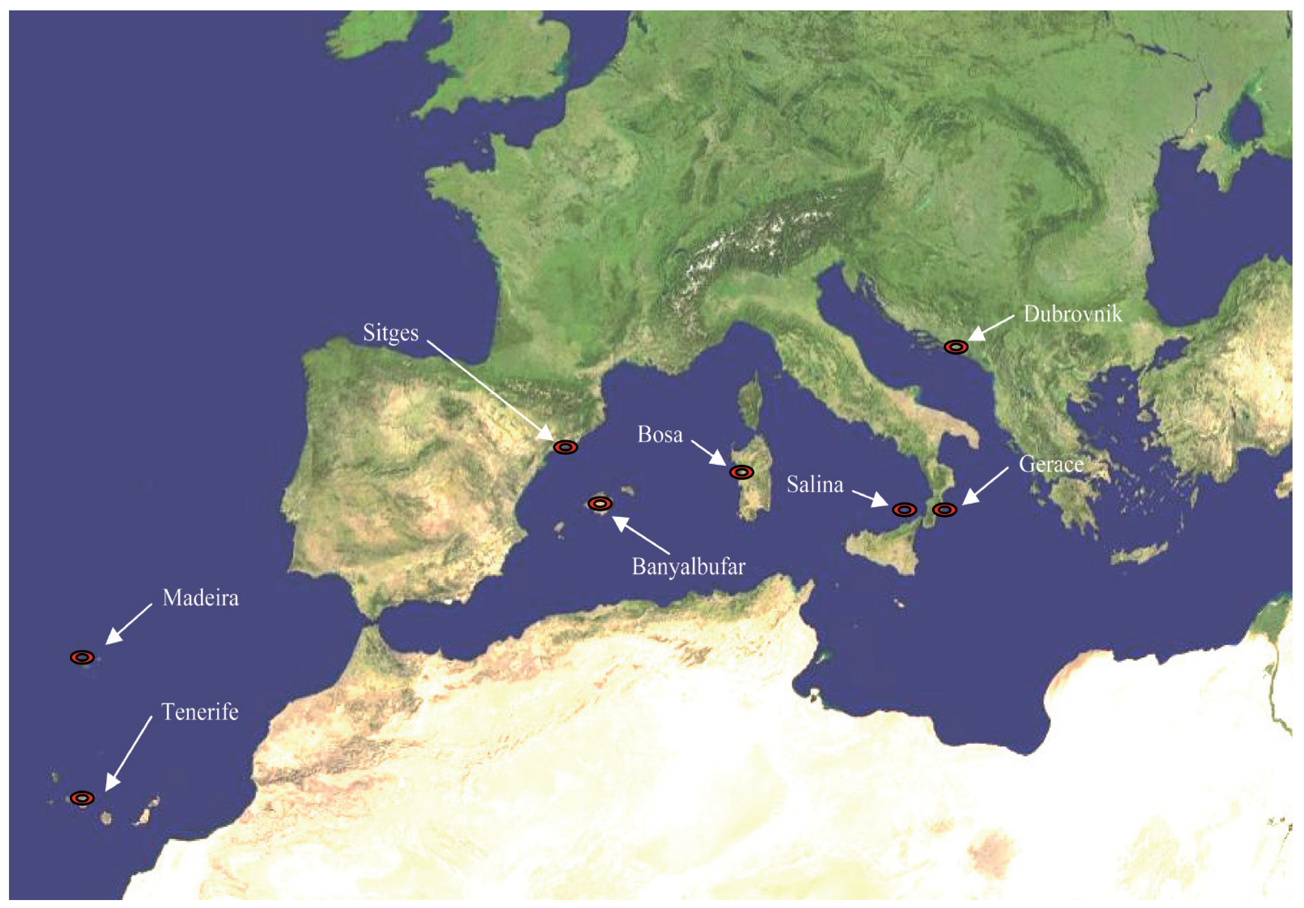 Horticulturae 11 00561 g001 Horticulturae 11 00561 g001
