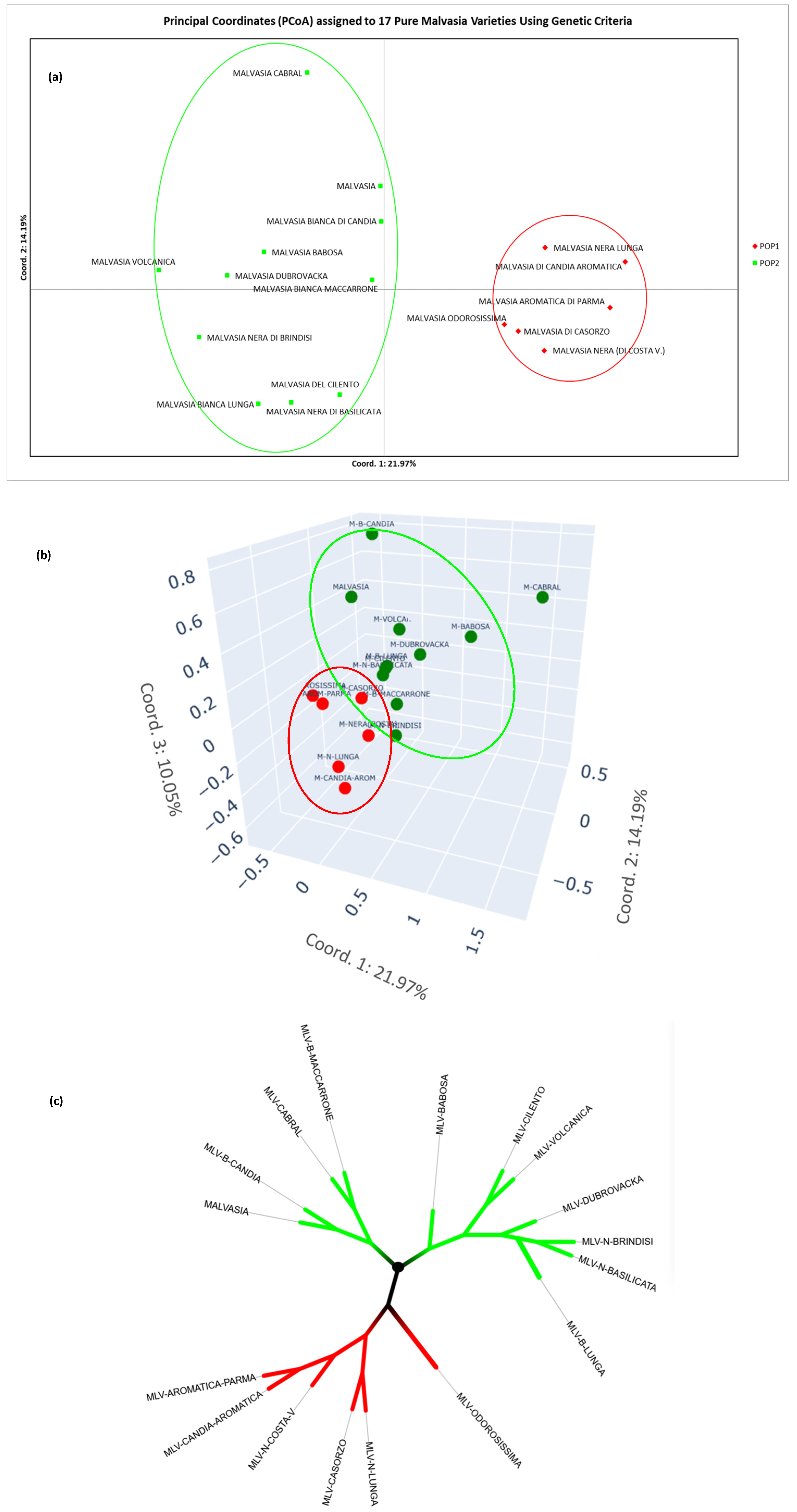 Horticulturae 11 00561 g003 Horticulturae 11 00561 g003