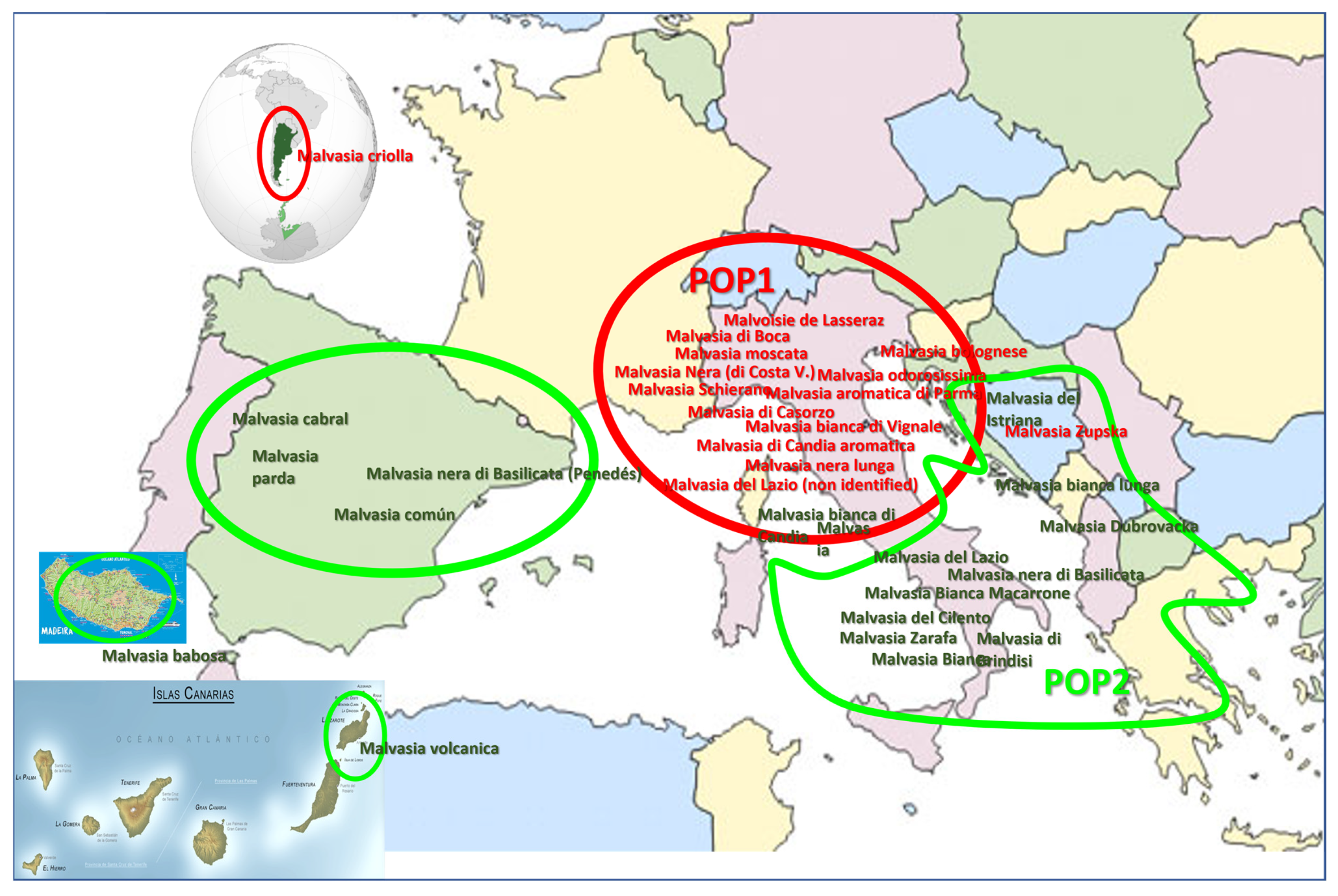 Horticulturae 11 00561 g006 Horticulturae 11 00561 g006