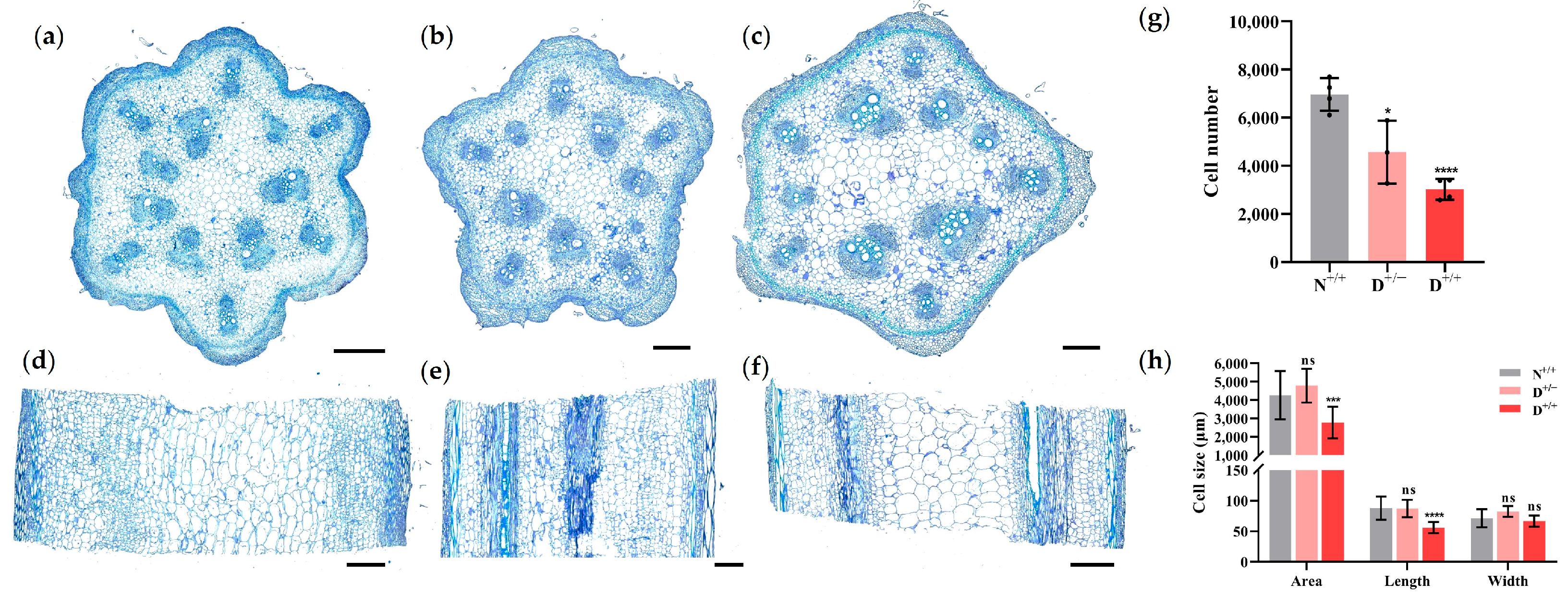 Horticulturae 11 00562 g002