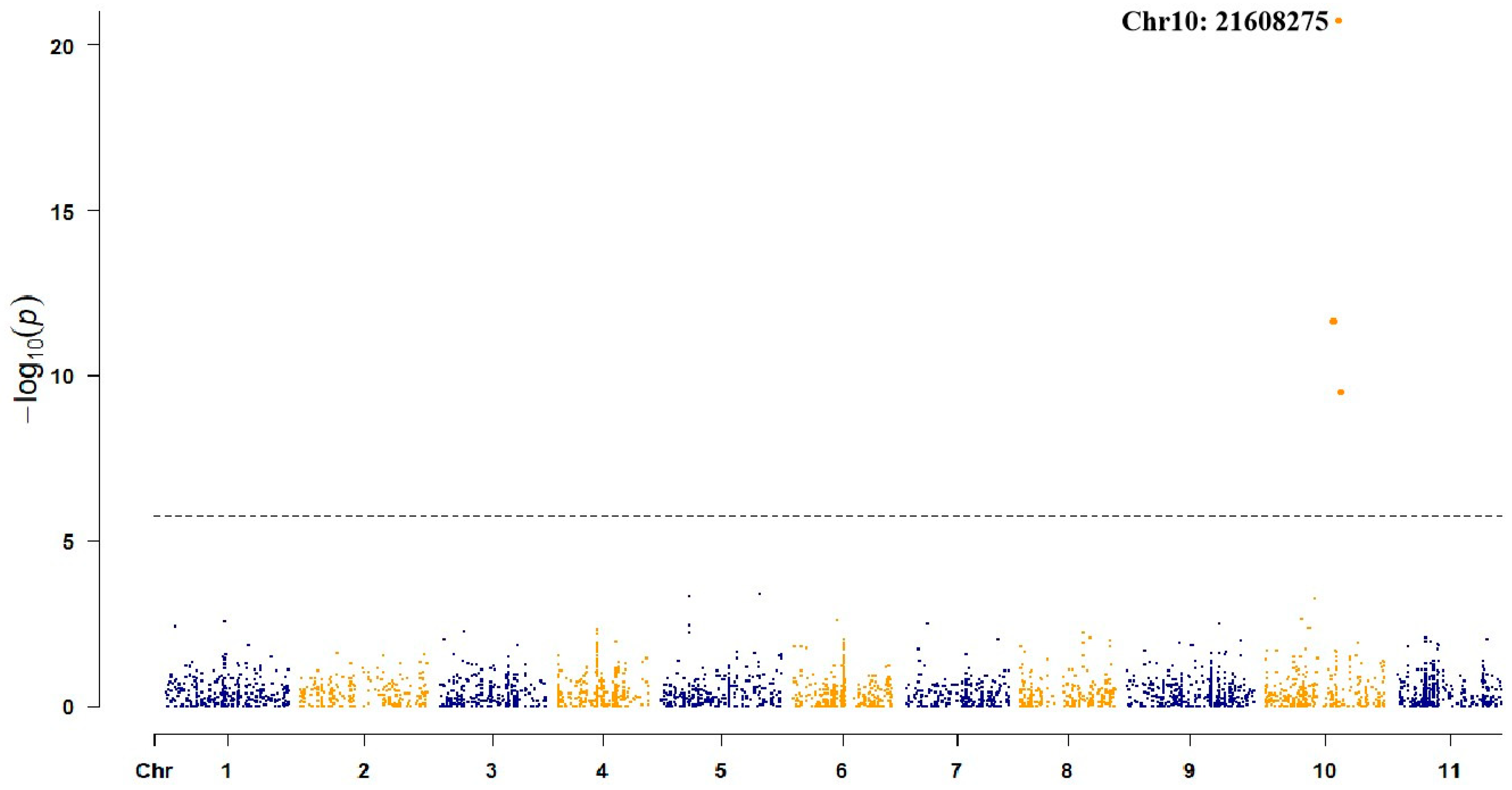 Horticulturae 11 00562 g003