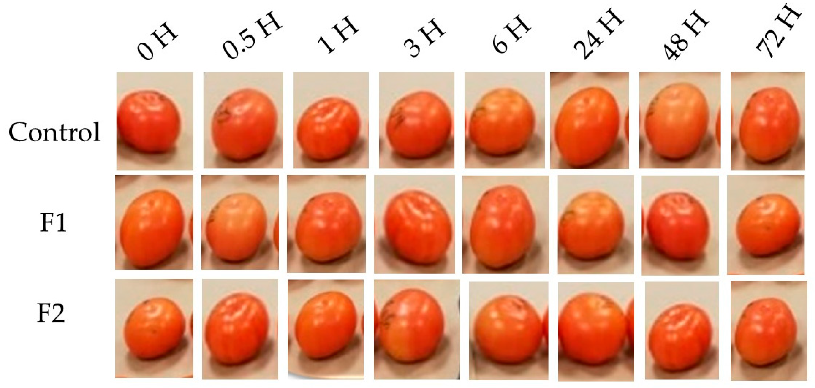 Horticulturae 11 00565 g002