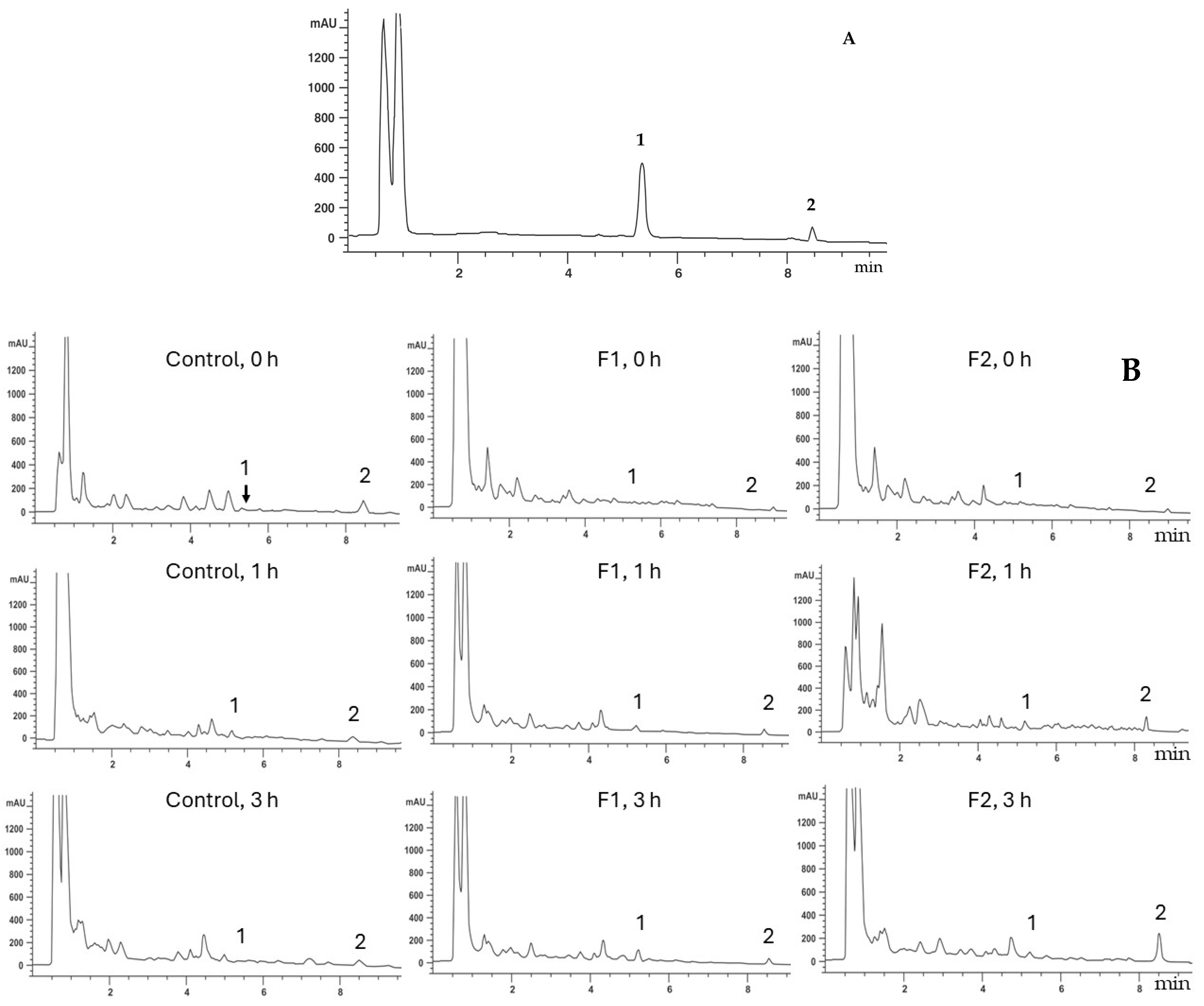 Horticulturae 11 00565 g004