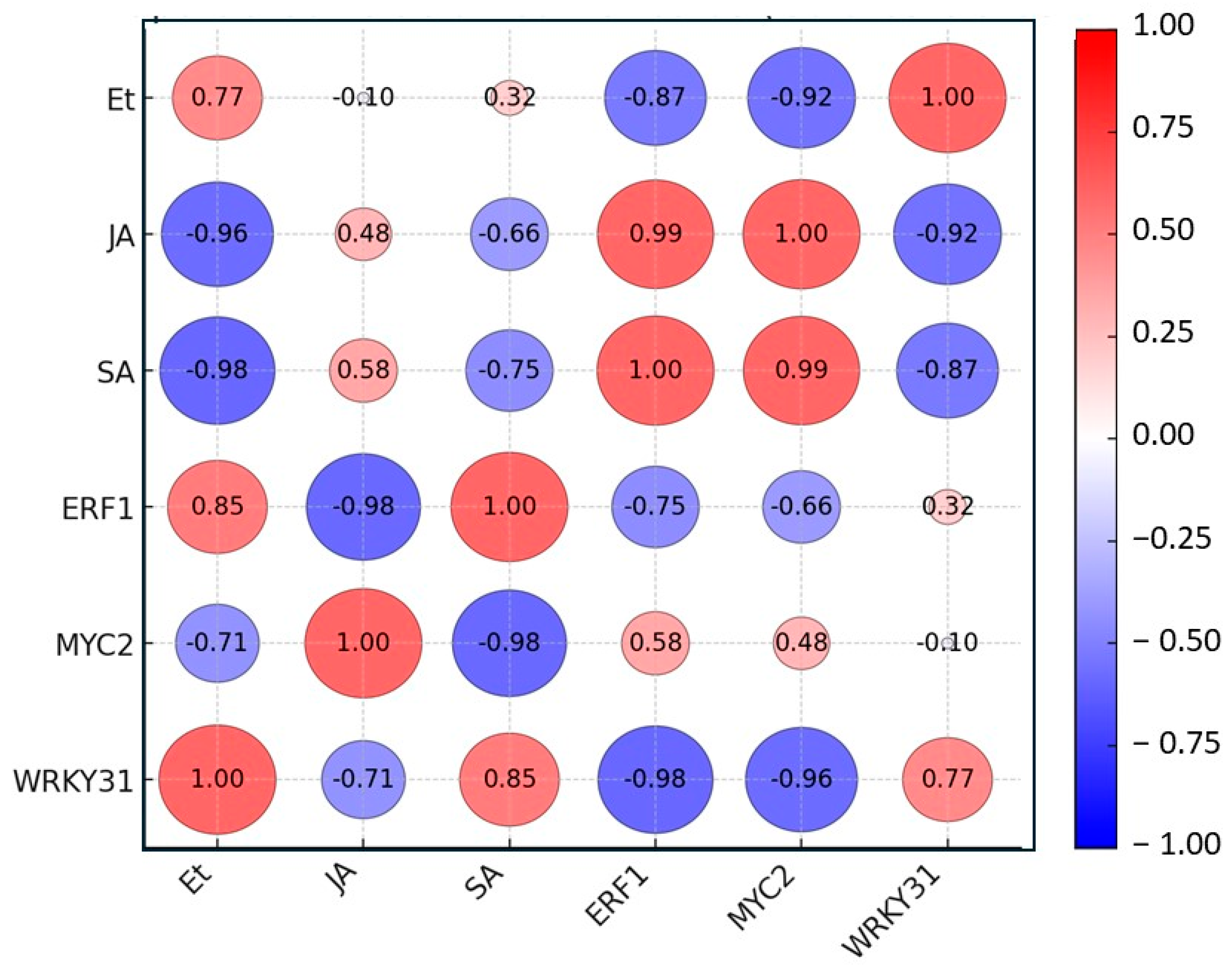 Horticulturae 11 00565 g008