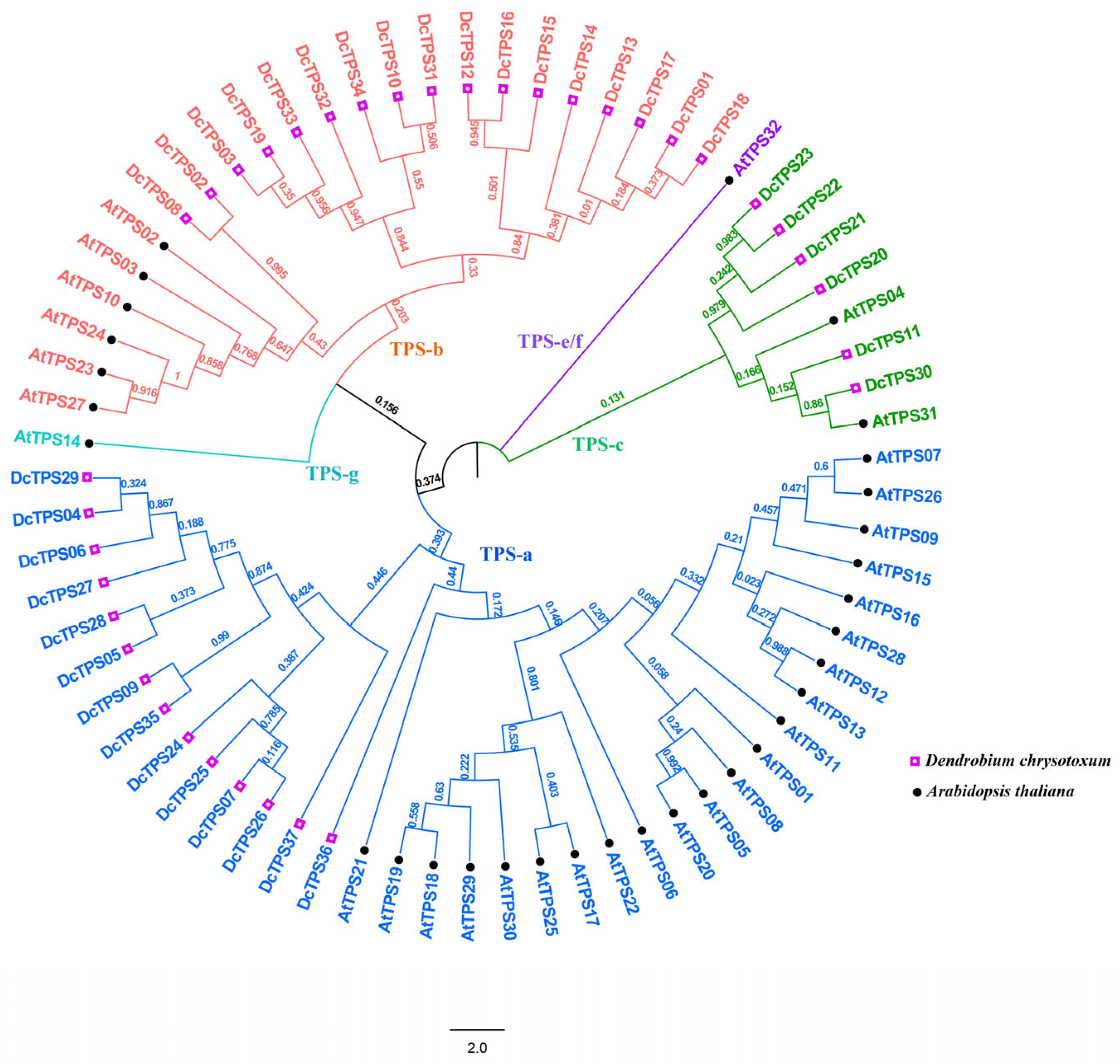 Horticulturae 11 00566 g003