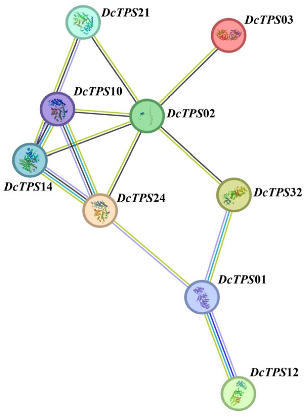 Horticulturae 11 00566 g006