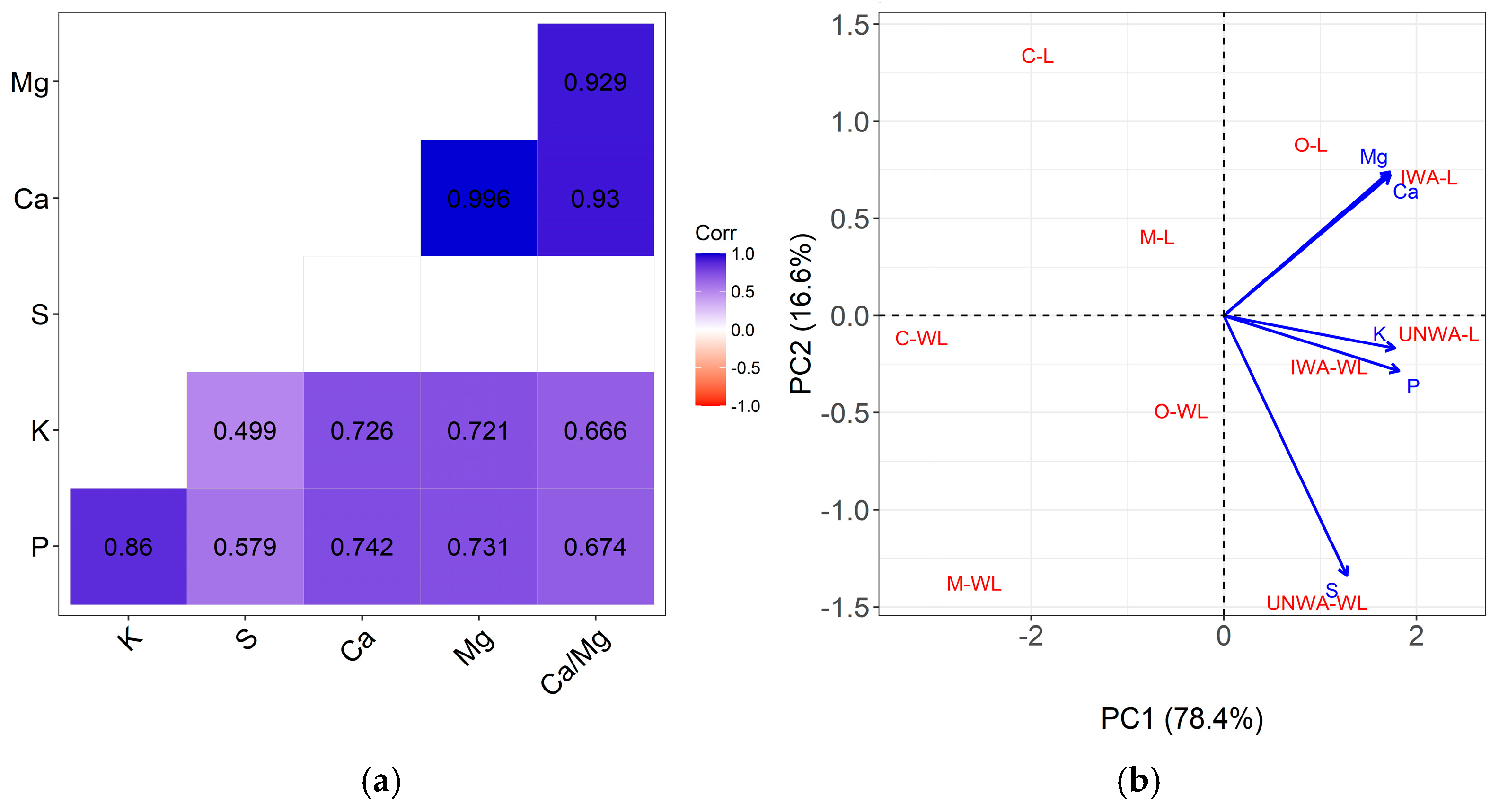 Horticulturae 11 00567 g007