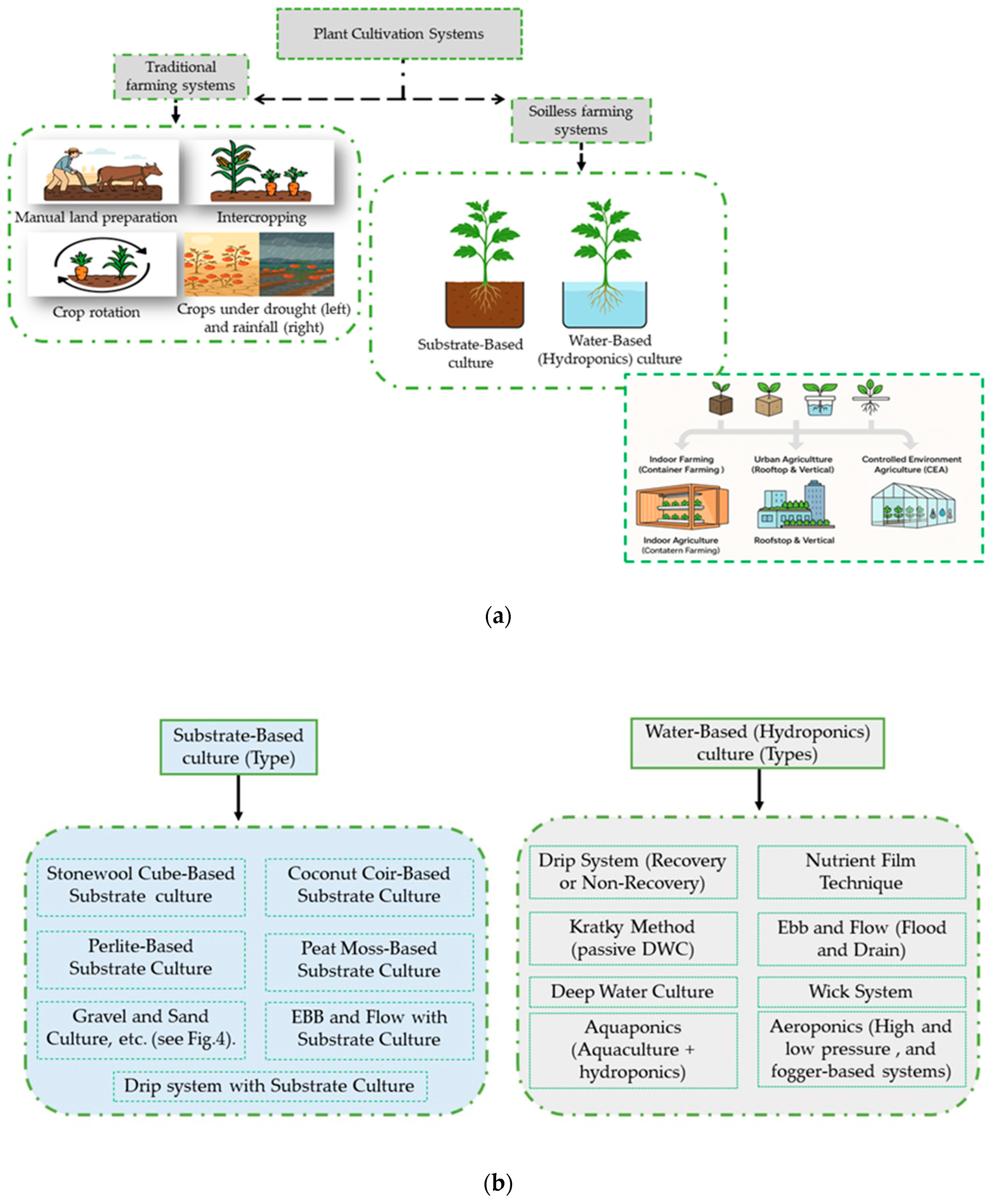 Horticulturae 11 00568 g003a