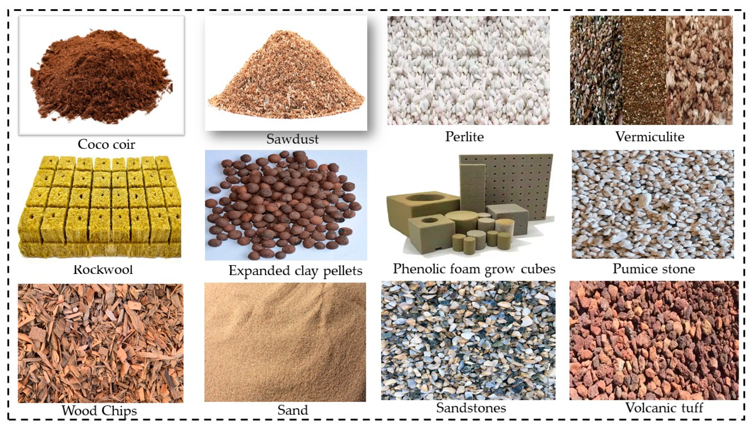 Horticulturae 11 00568 g004