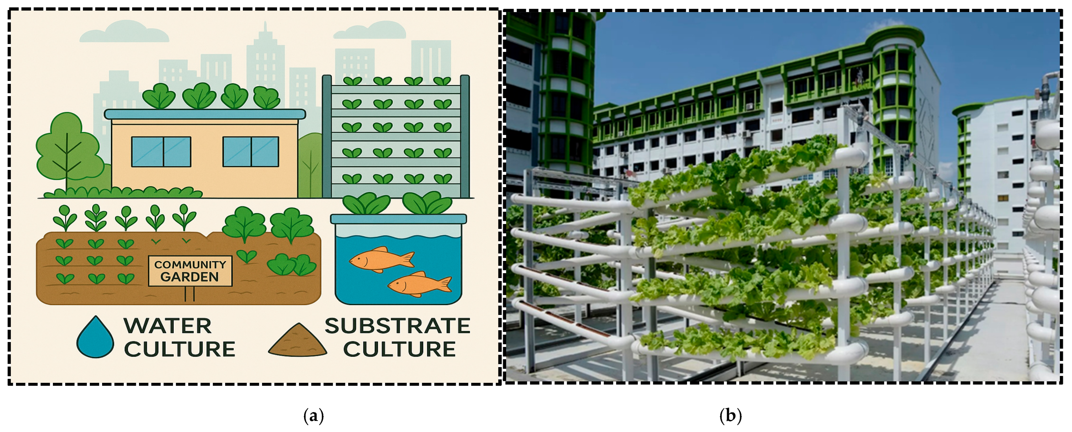 Horticulturae 11 00568 g007