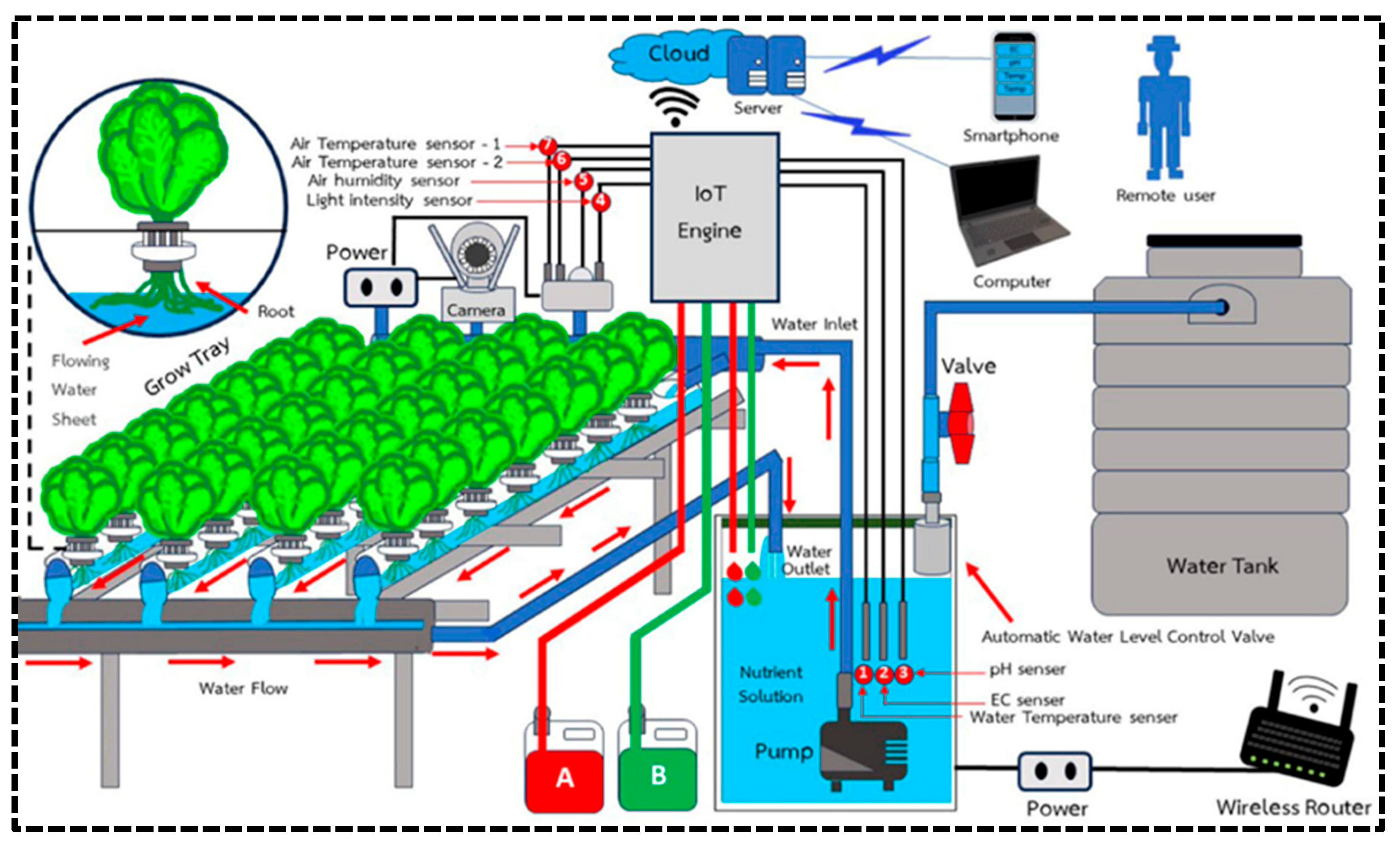 Horticulturae 11 00568 g008