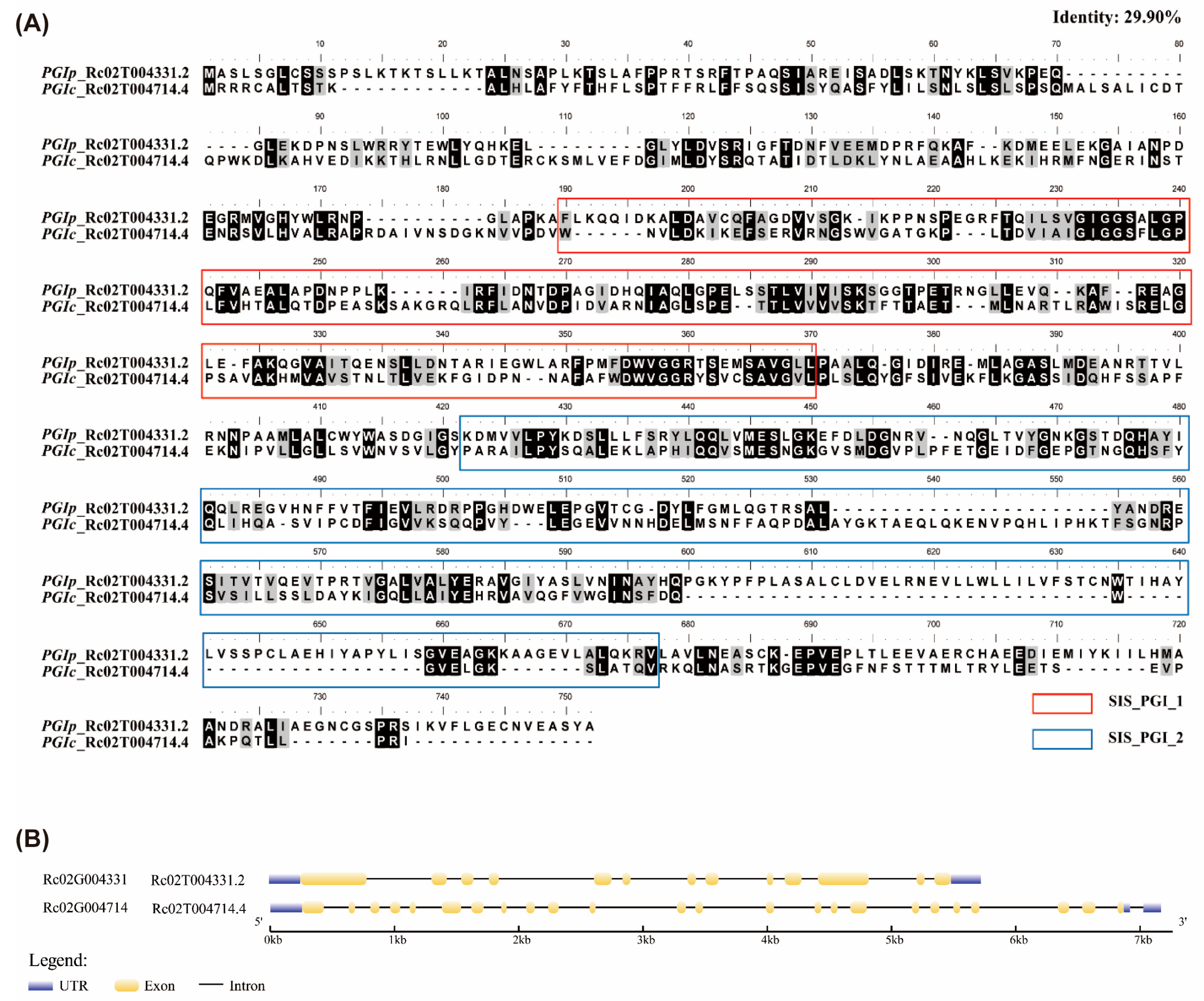 Horticulturae 11 00569 g001