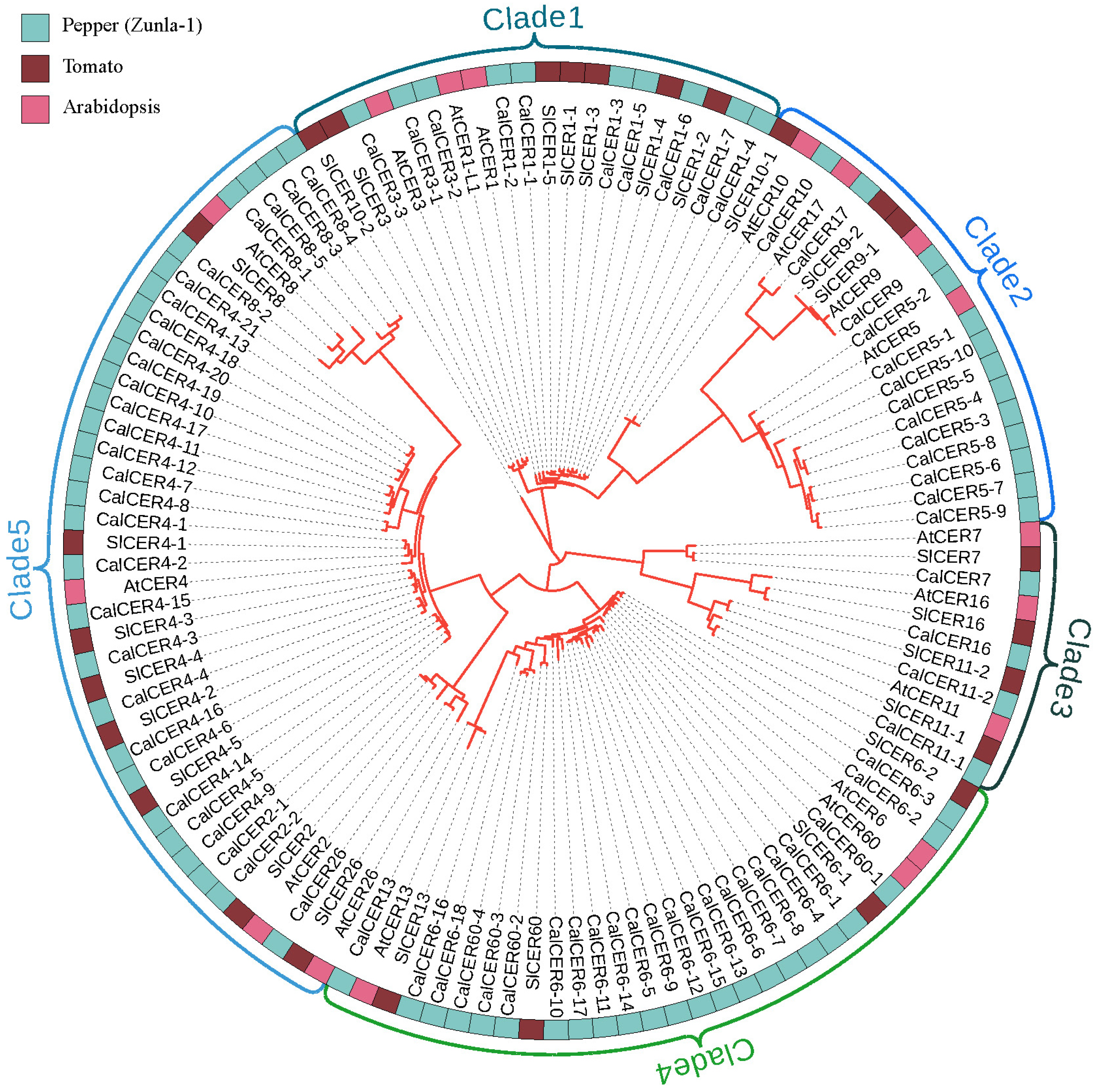 Horticulturae 11 00571 g002