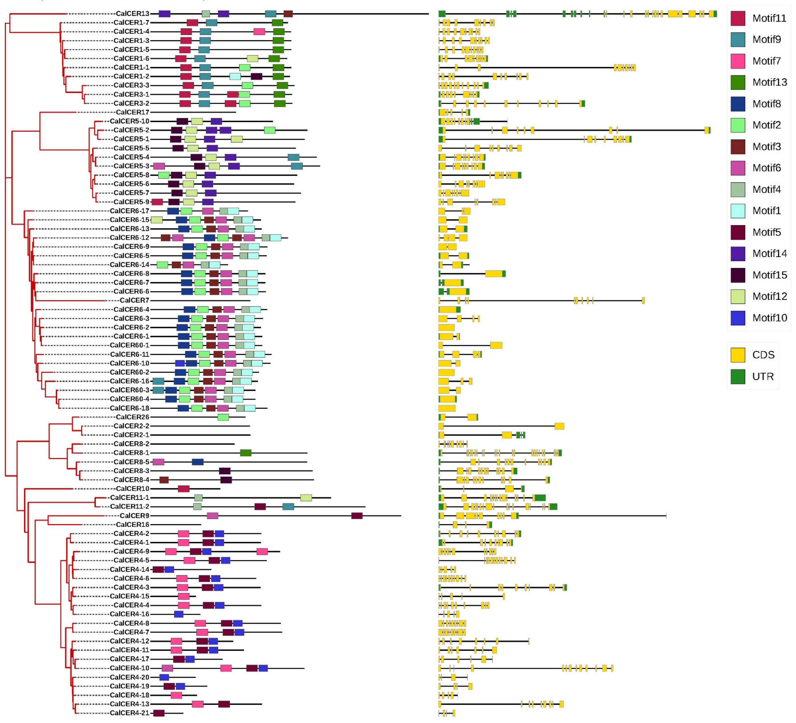Horticulturae 11 00571 g003