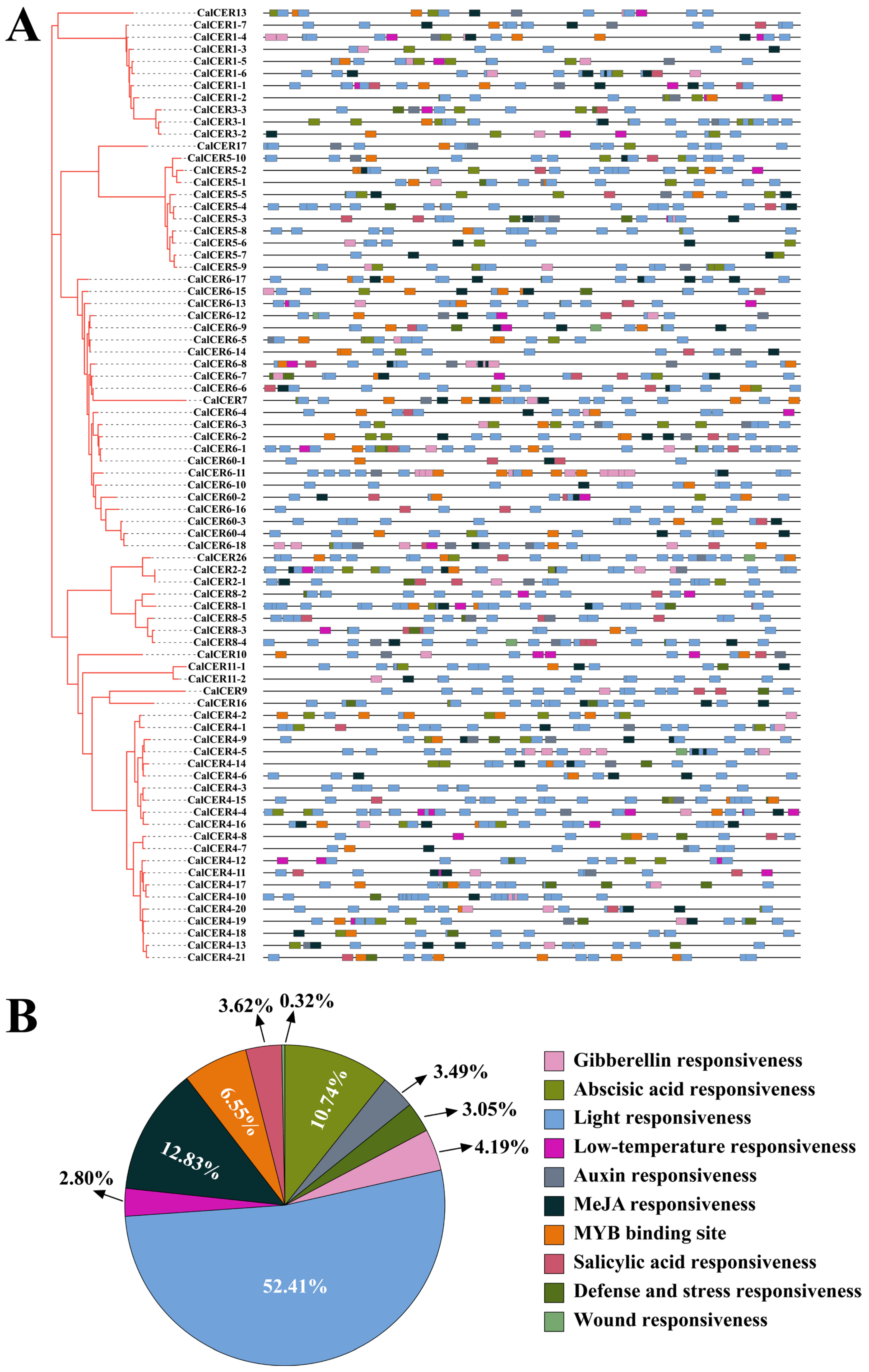 Horticulturae 11 00571 g004