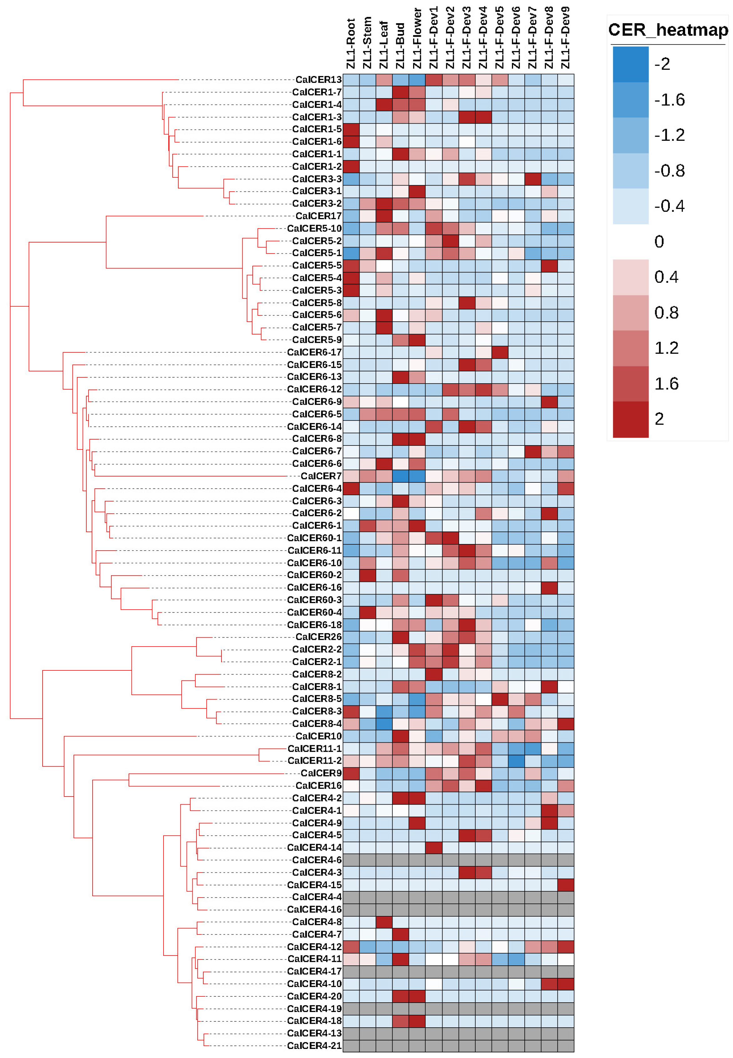 Horticulturae 11 00571 g005