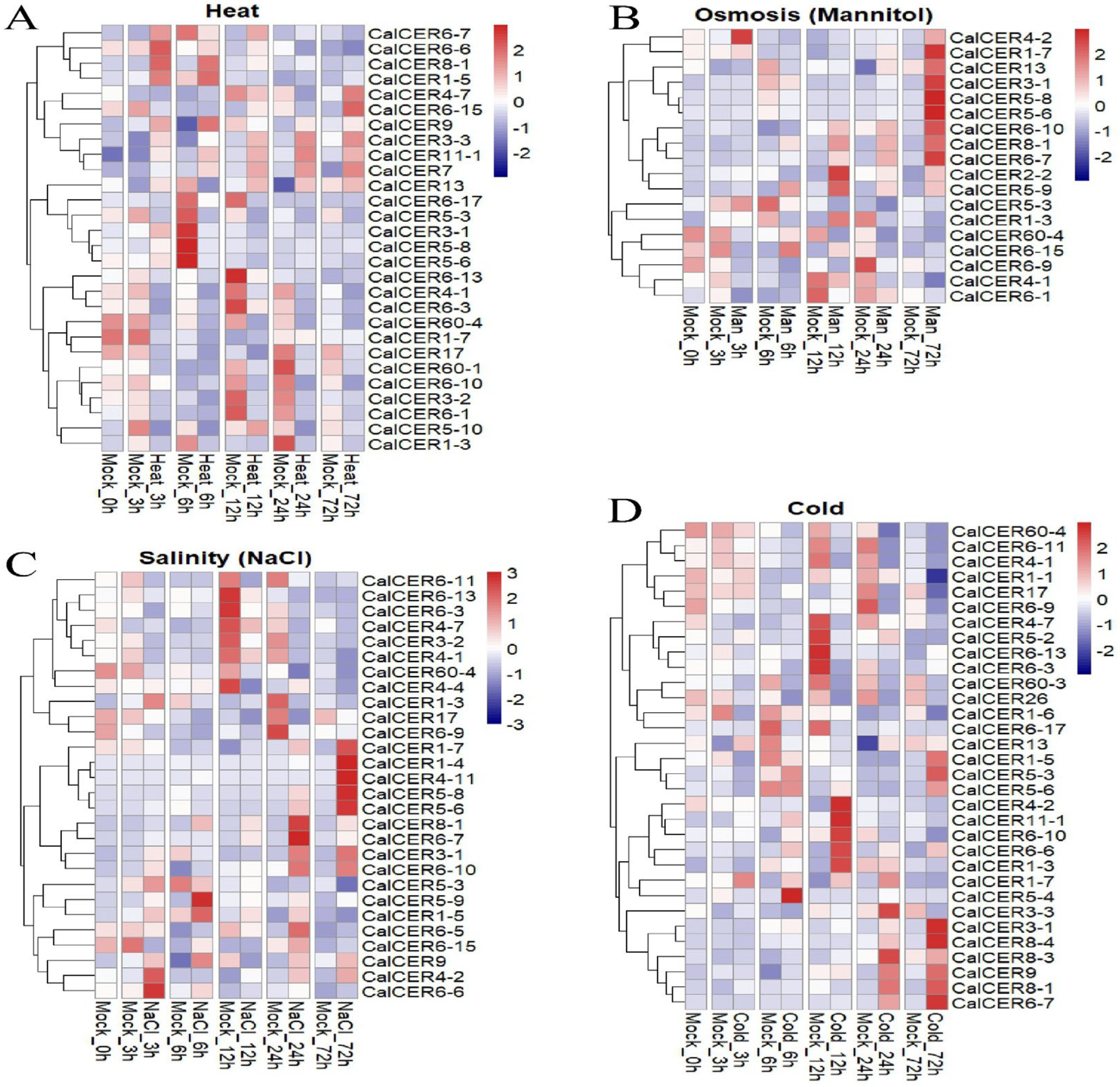 Horticulturae 11 00571 g006