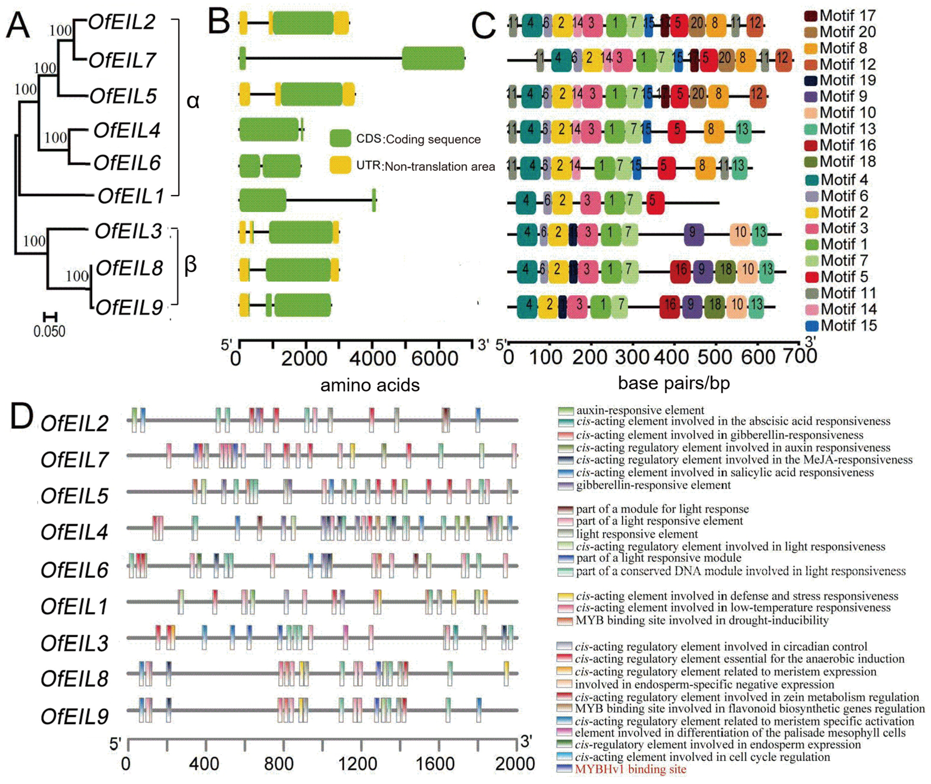 Horticulturae 11 00572 g002 Horticulturae 11 00572 g002