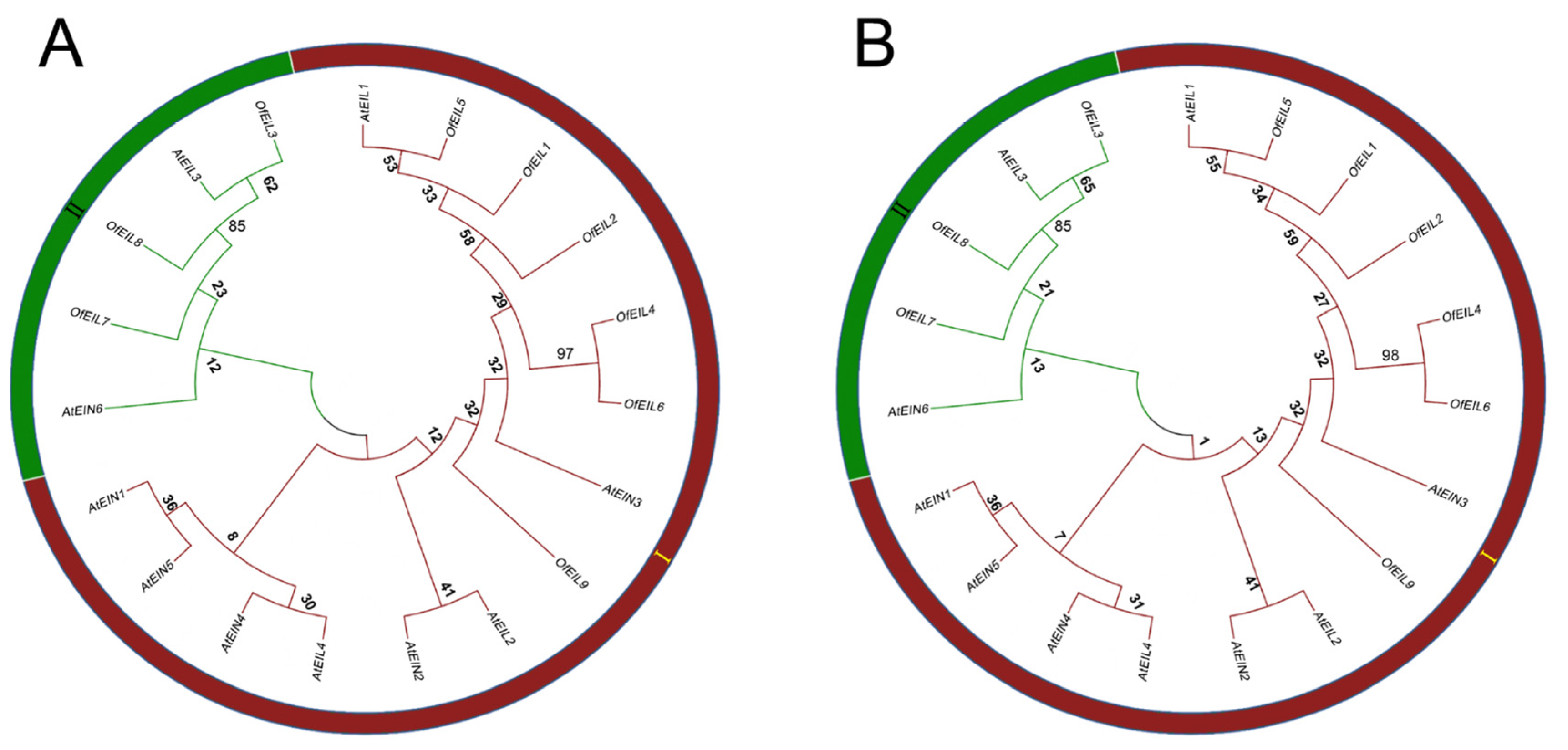 Horticulturae 11 00572 g003 Horticulturae 11 00572 g003