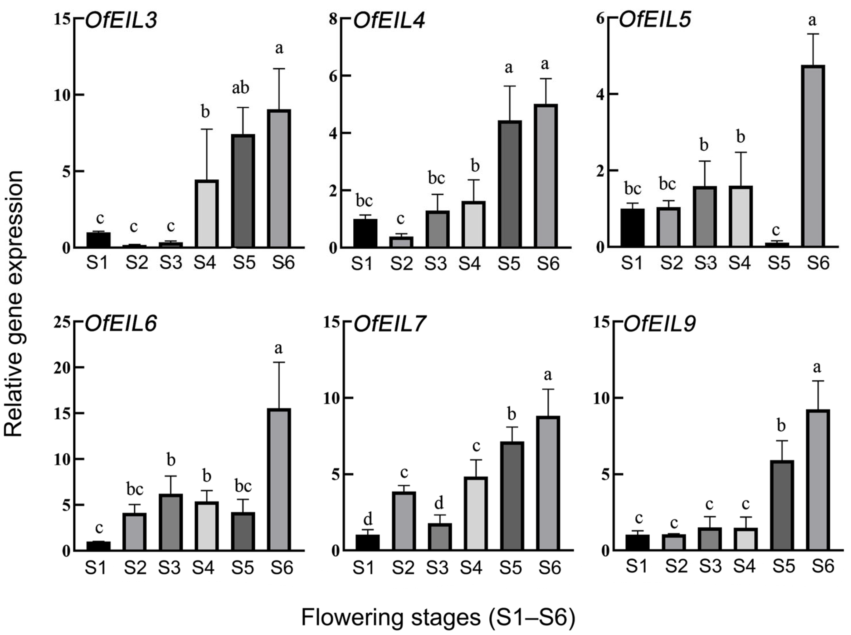 Horticulturae 11 00572 g005 Horticulturae 11 00572 g005
