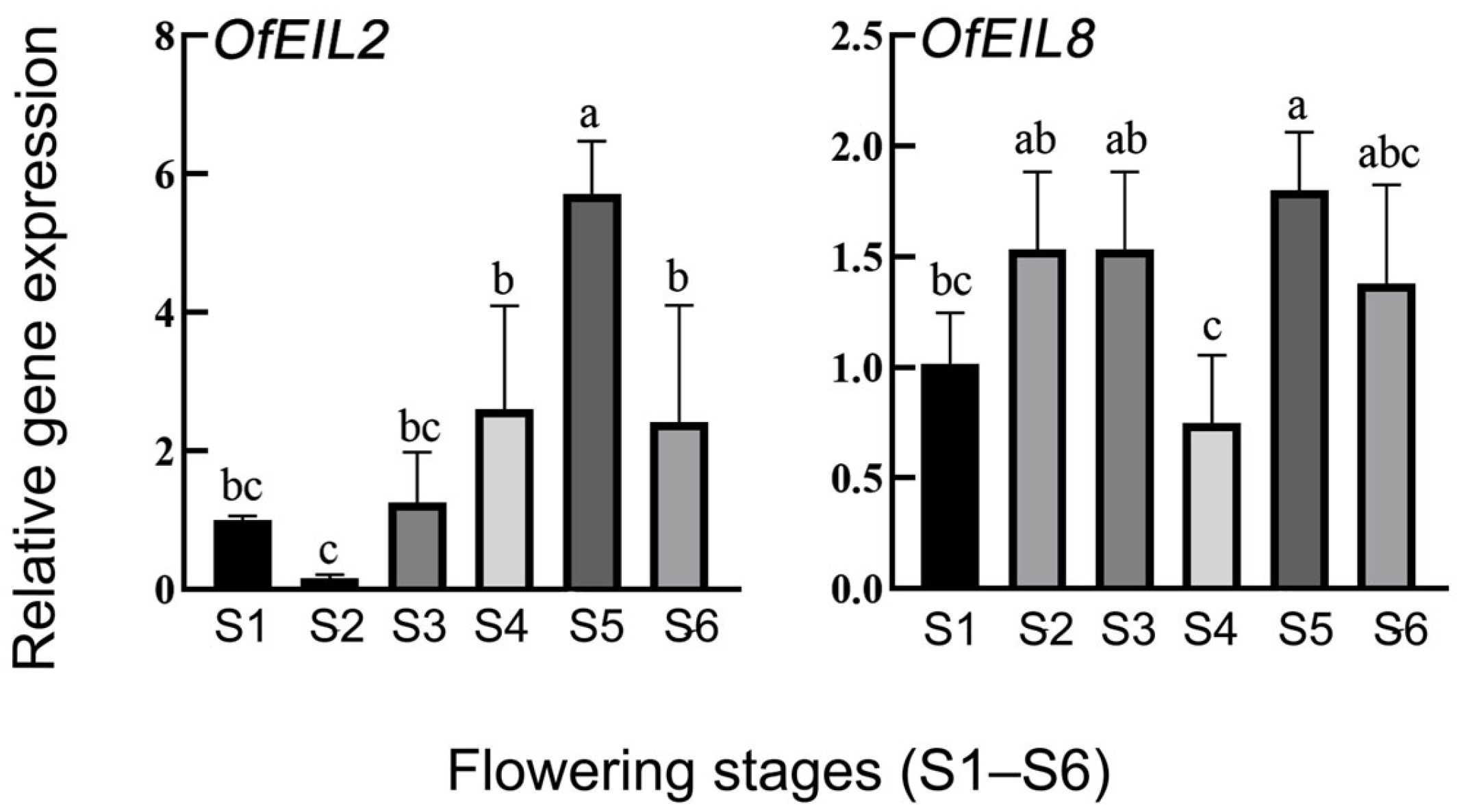 Horticulturae 11 00572 g006 Horticulturae 11 00572 g006
