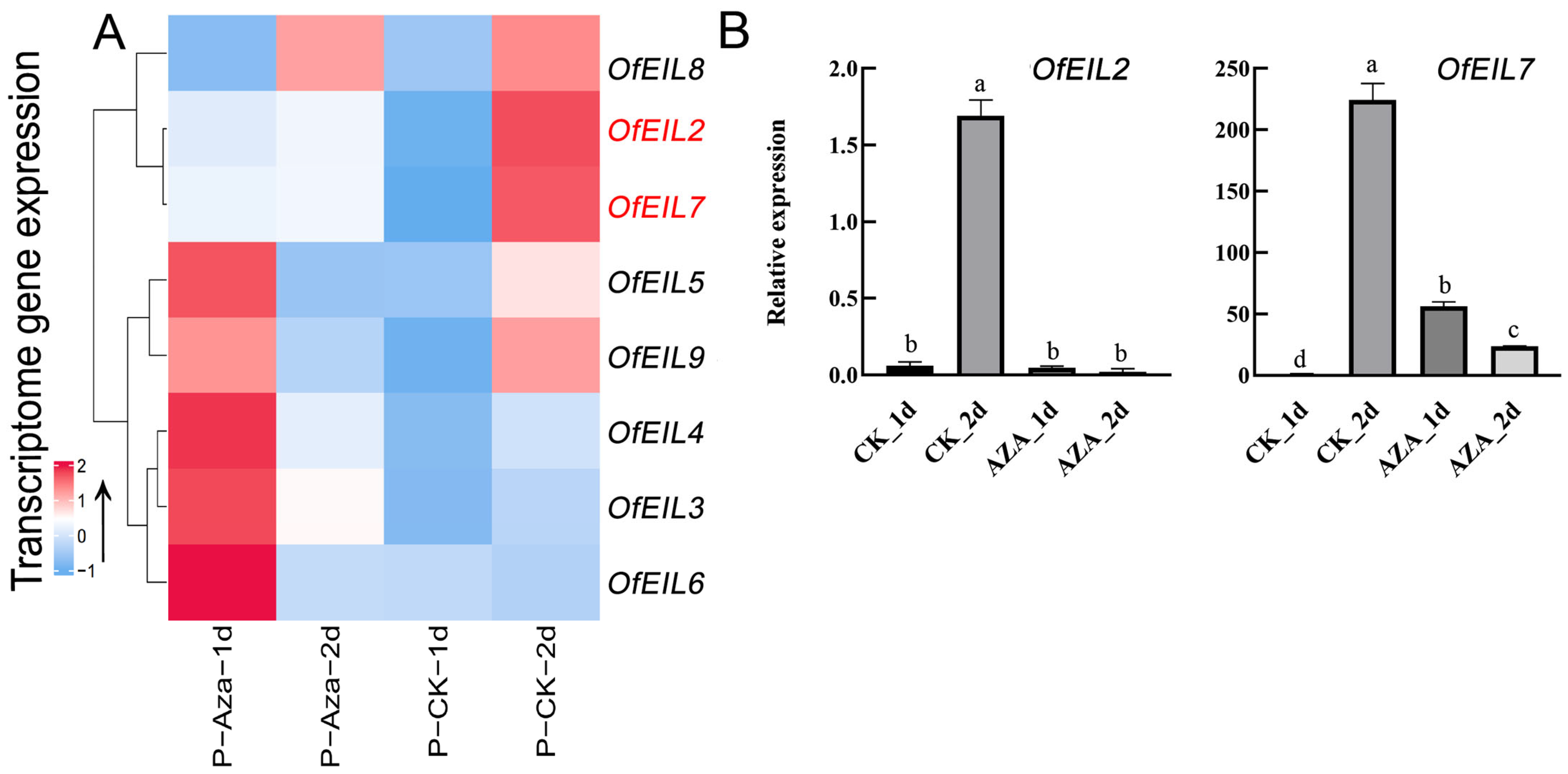 Horticulturae 11 00572 g007 Horticulturae 11 00572 g007