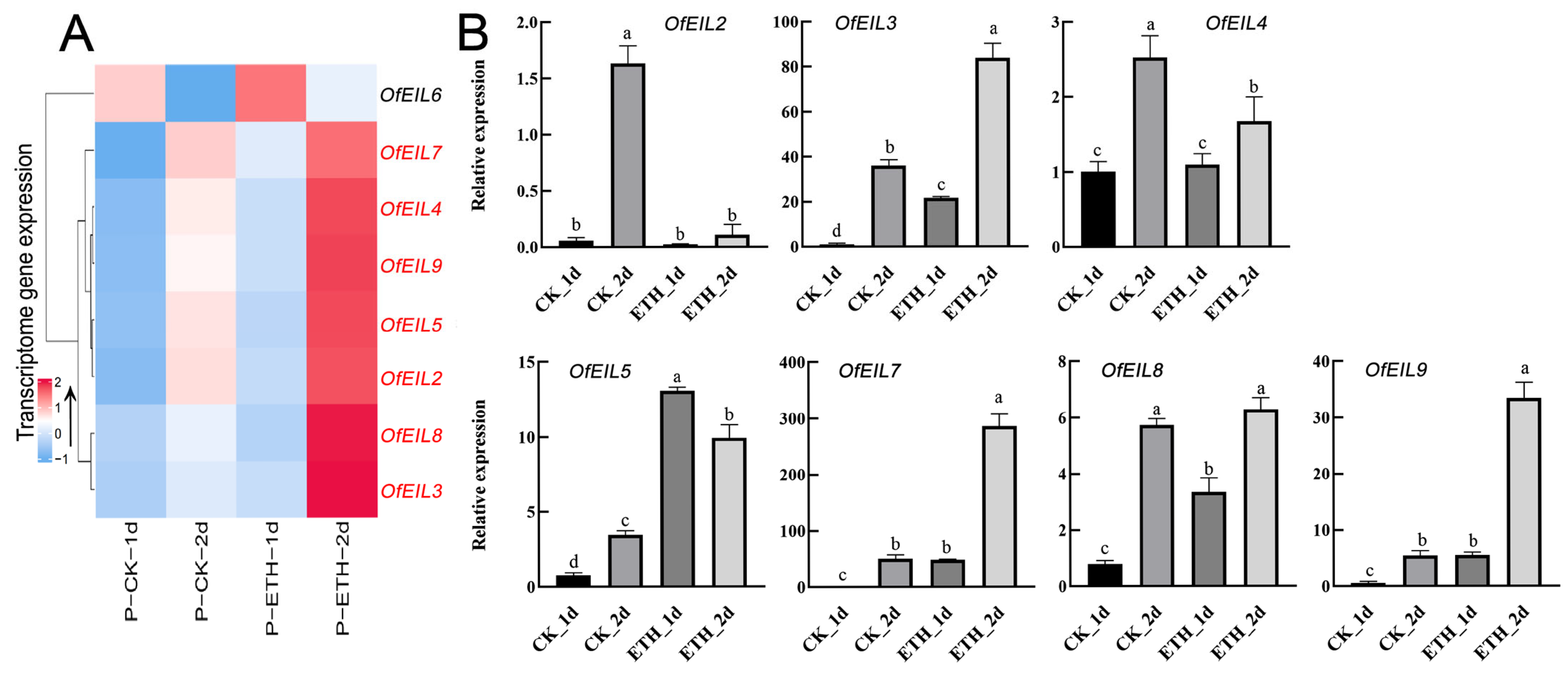 Horticulturae 11 00572 g008 Horticulturae 11 00572 g008
