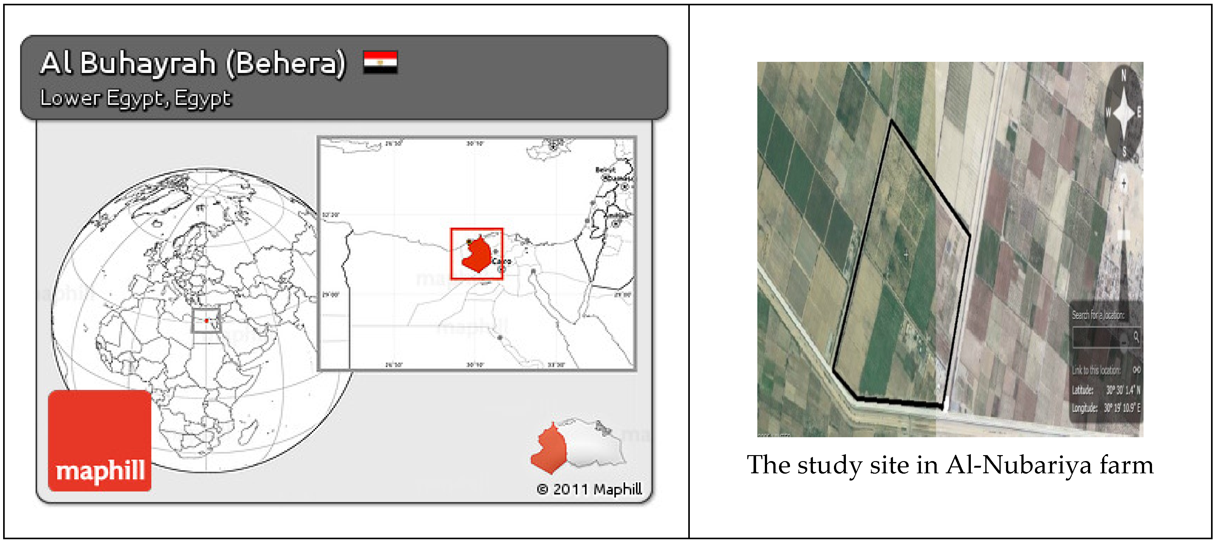 Horticulturae 11 00573 g001