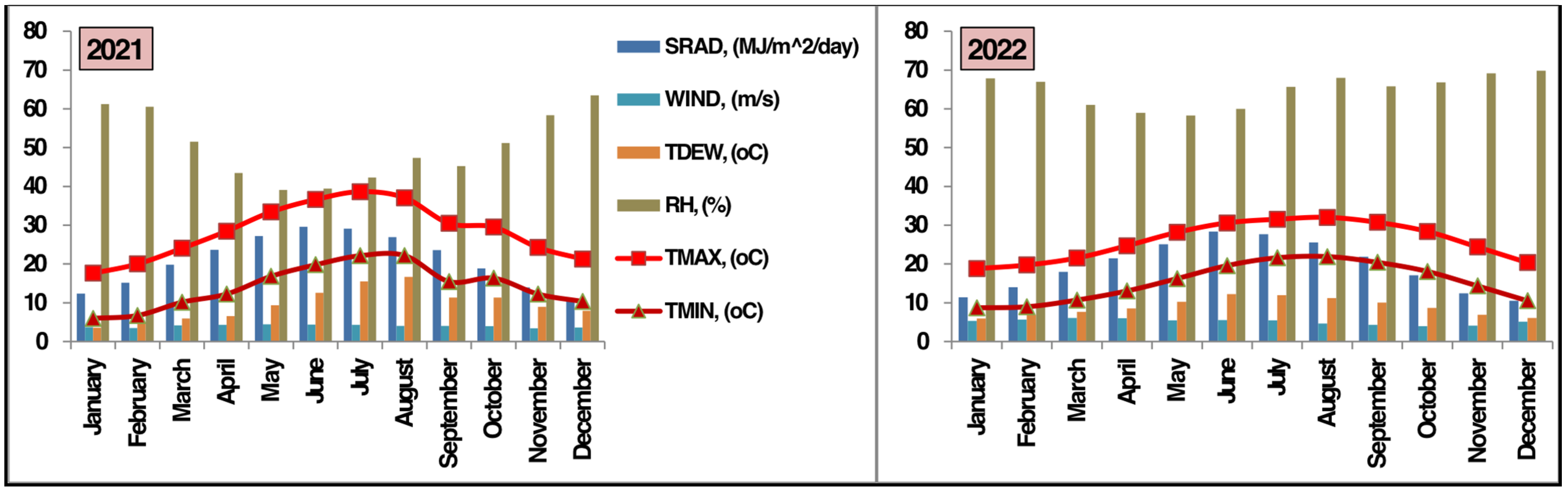 Horticulturae 11 00573 g002