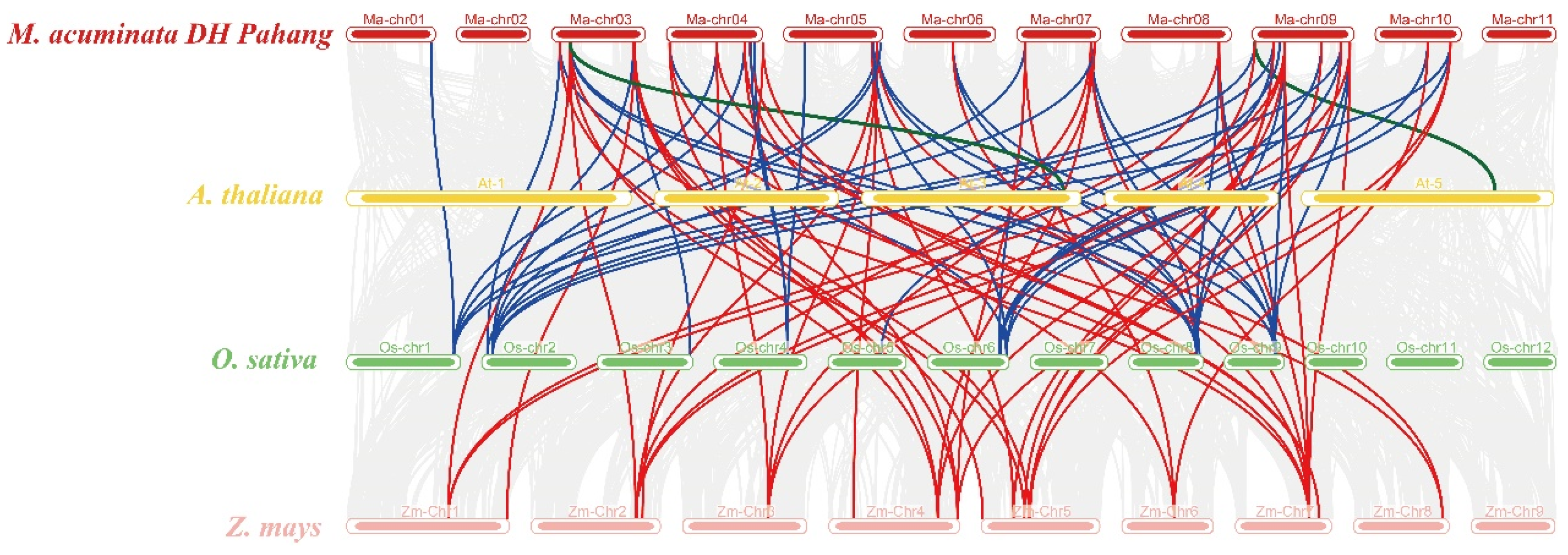 Horticulturae 11 00576 g002