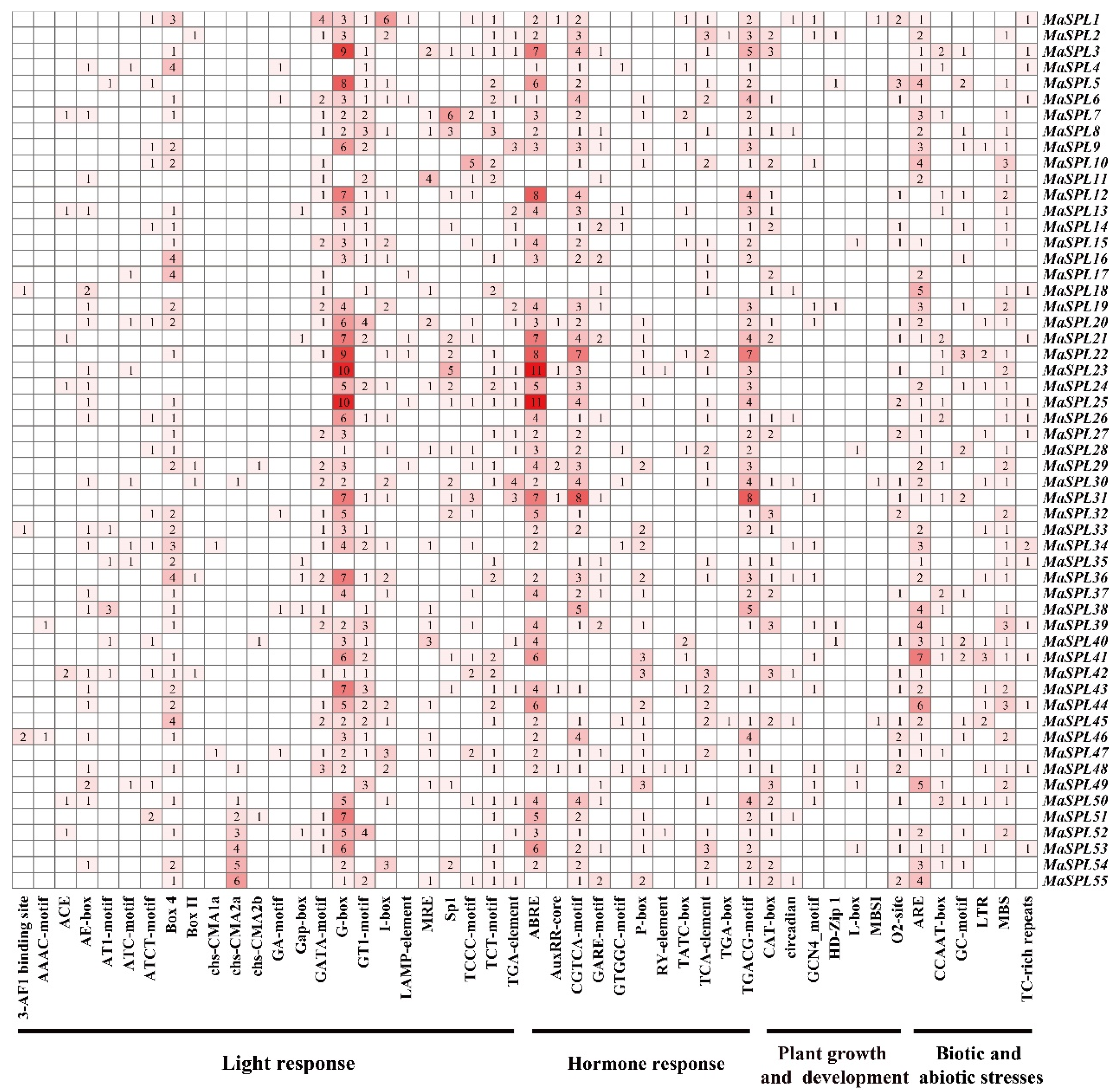 Horticulturae 11 00576 g004