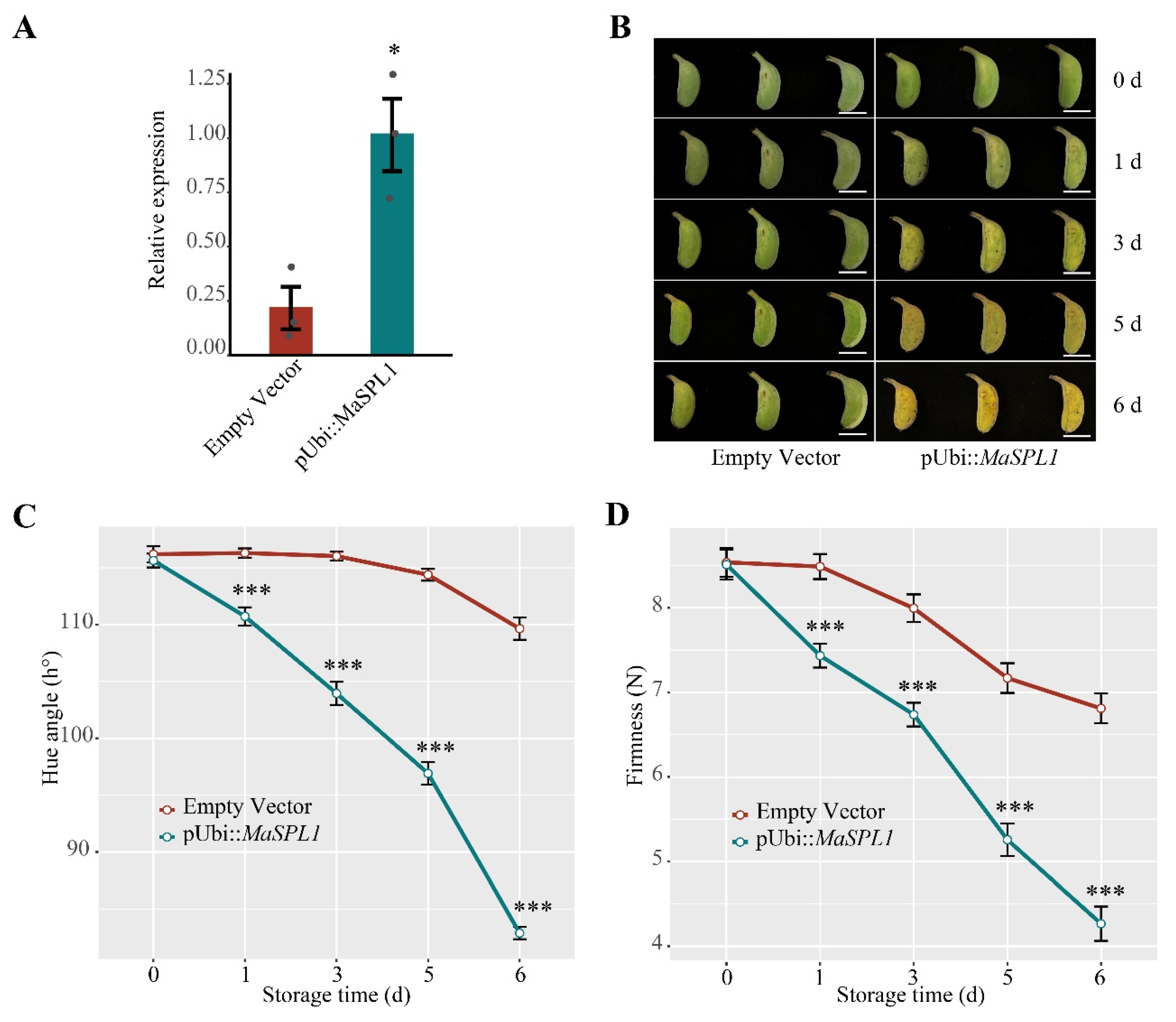 Horticulturae 11 00576 g006