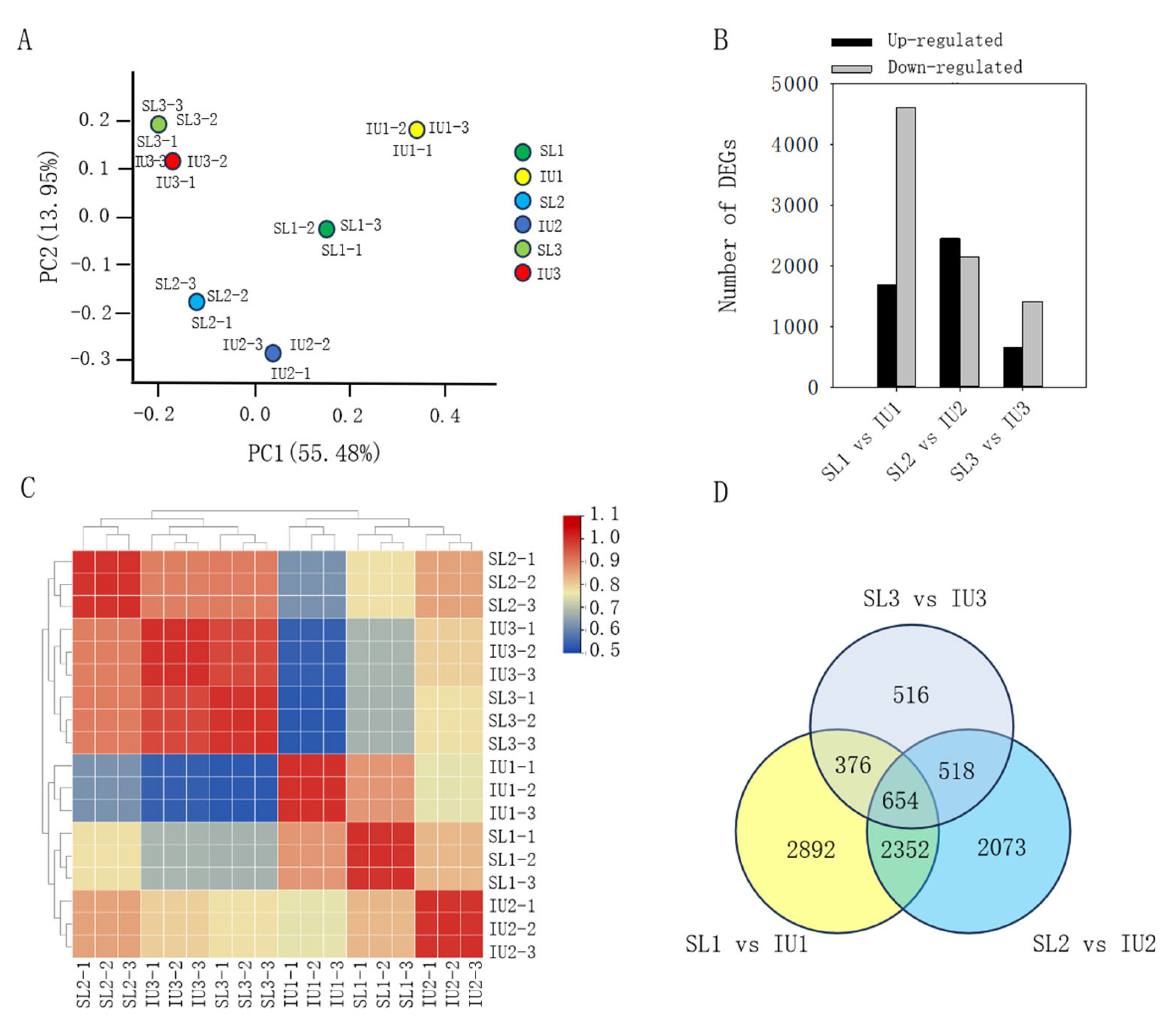 Horticulturae 11 00578 g004