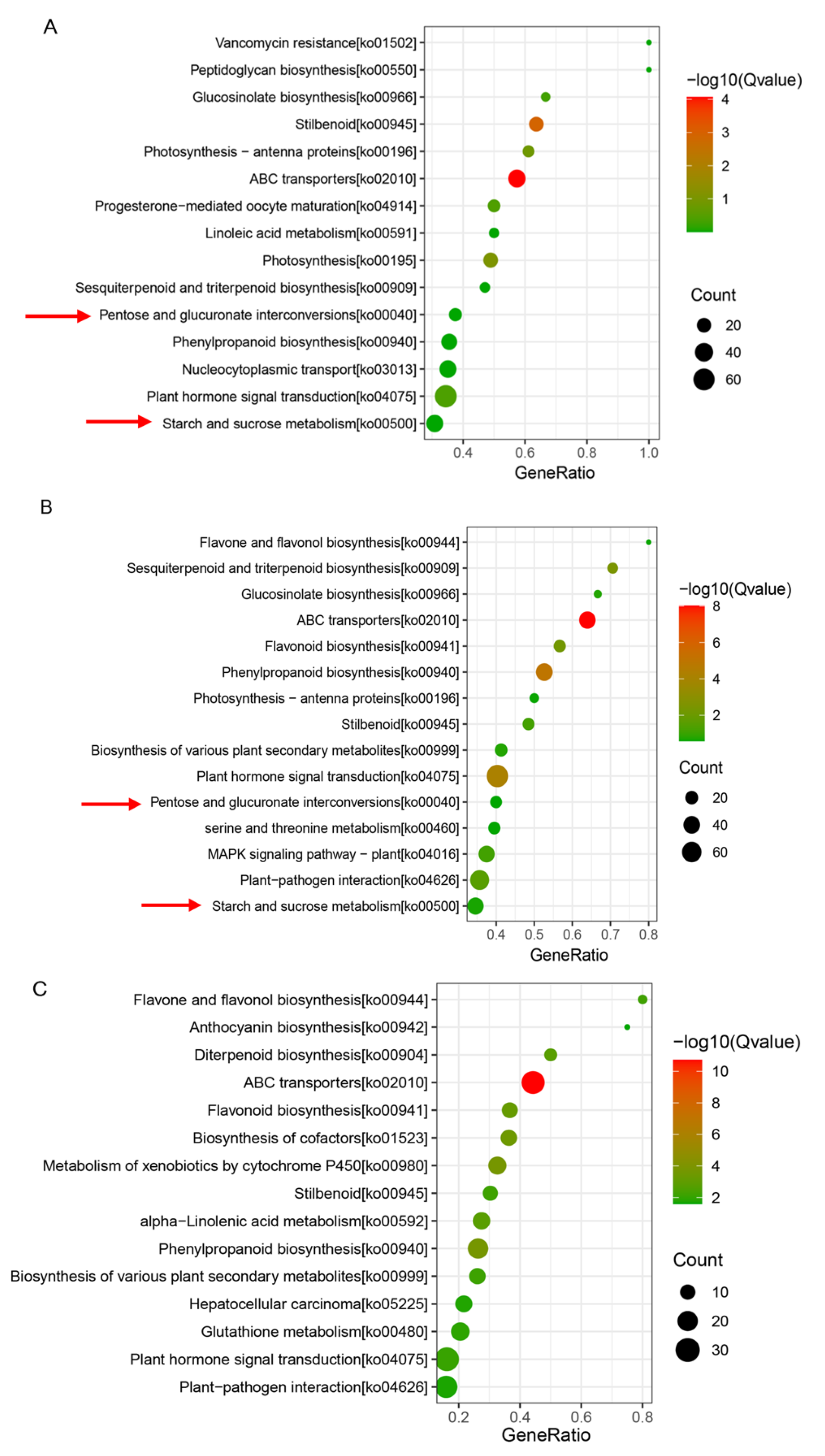 Horticulturae 11 00578 g005