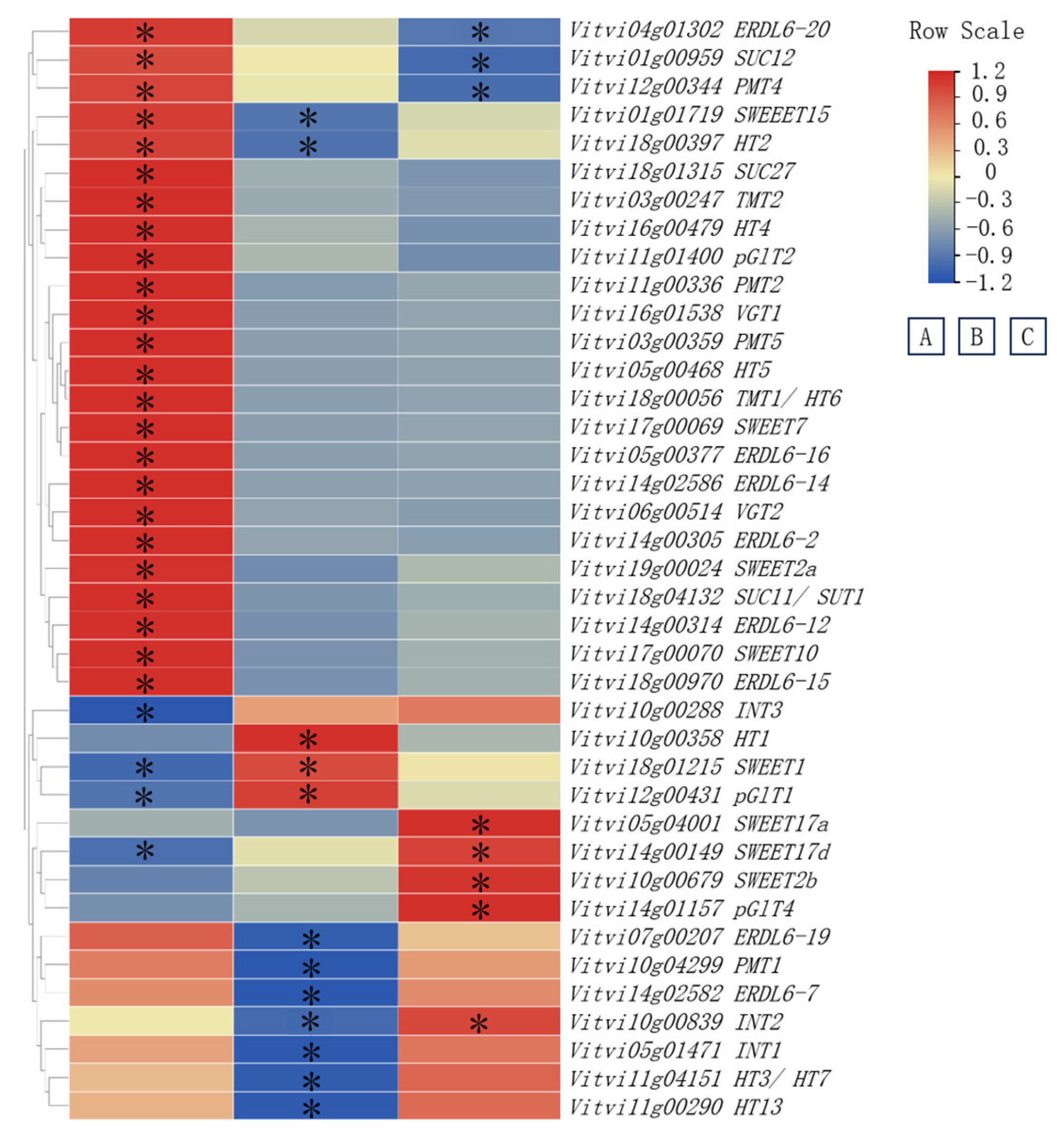 Horticulturae 11 00578 g007