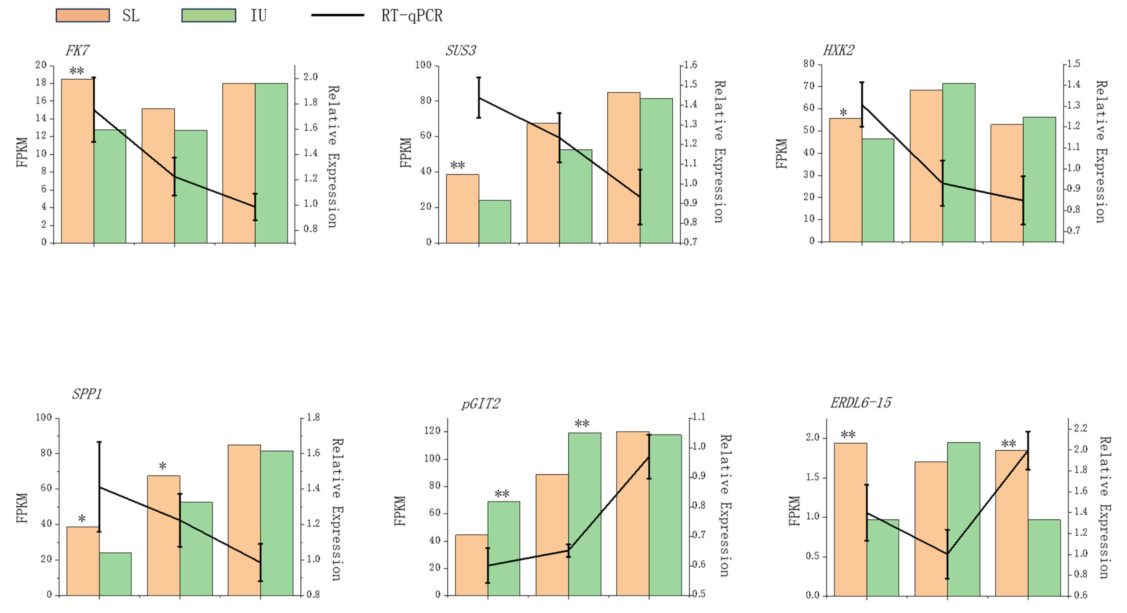 Horticulturae 11 00578 g008