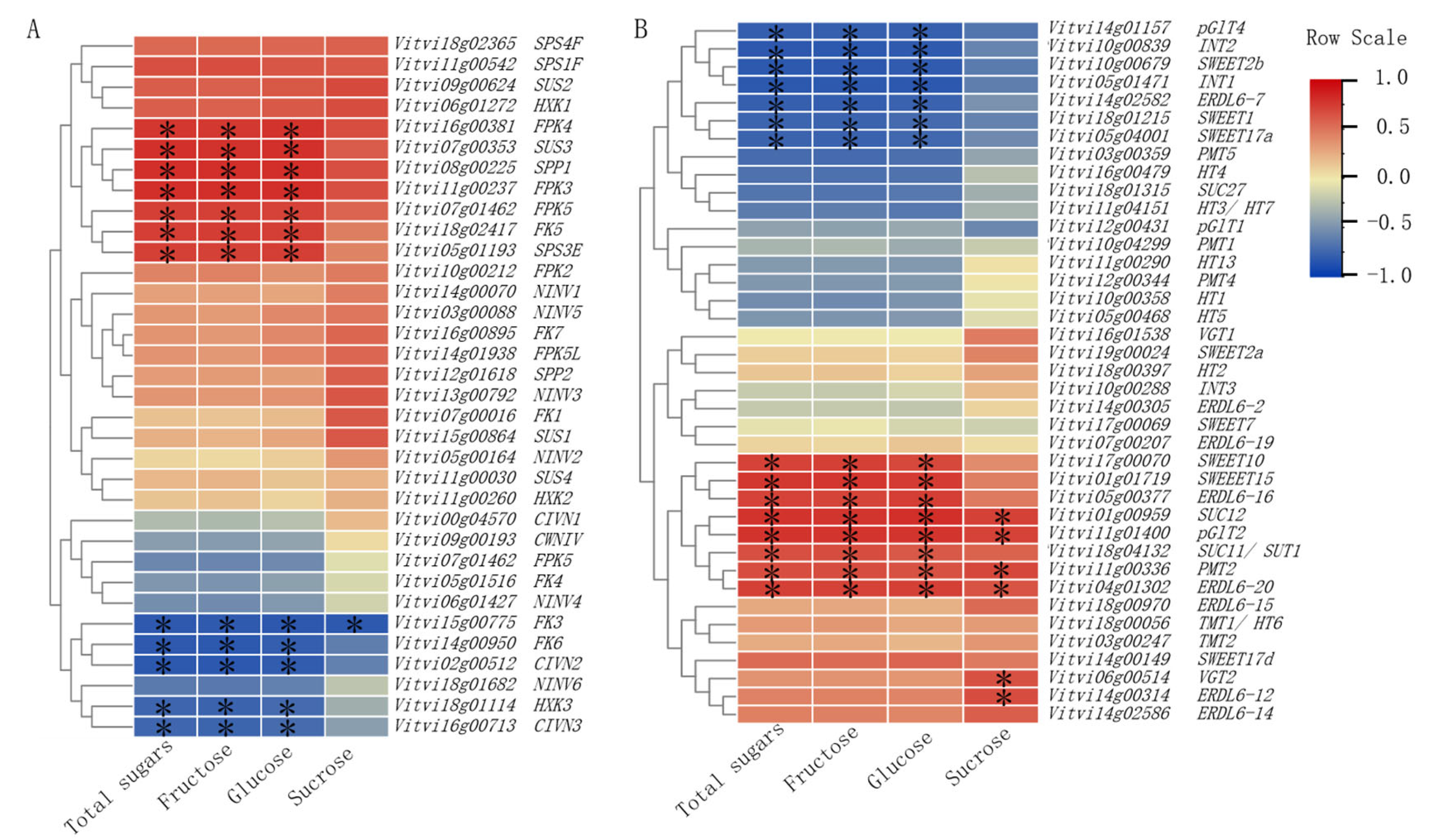 Horticulturae 11 00578 g009