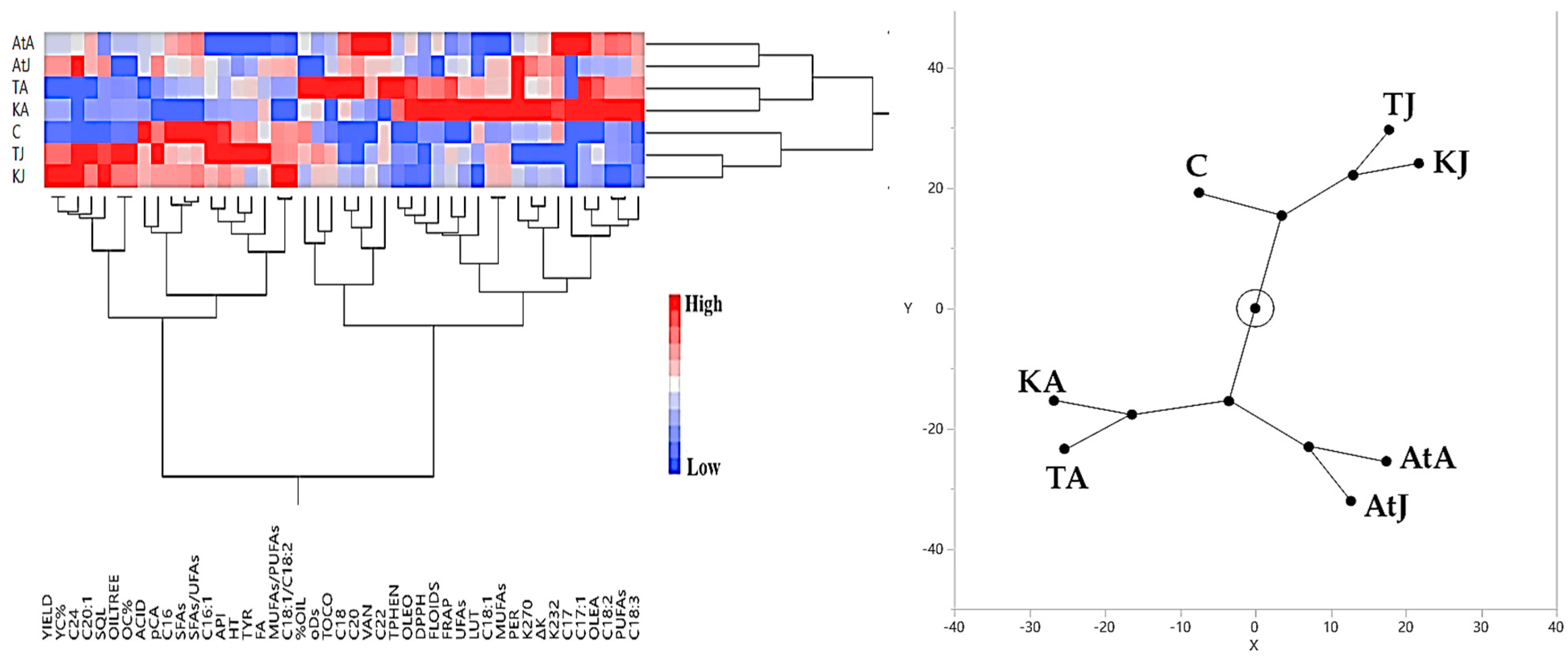 Horticulturae 11 00579 g002