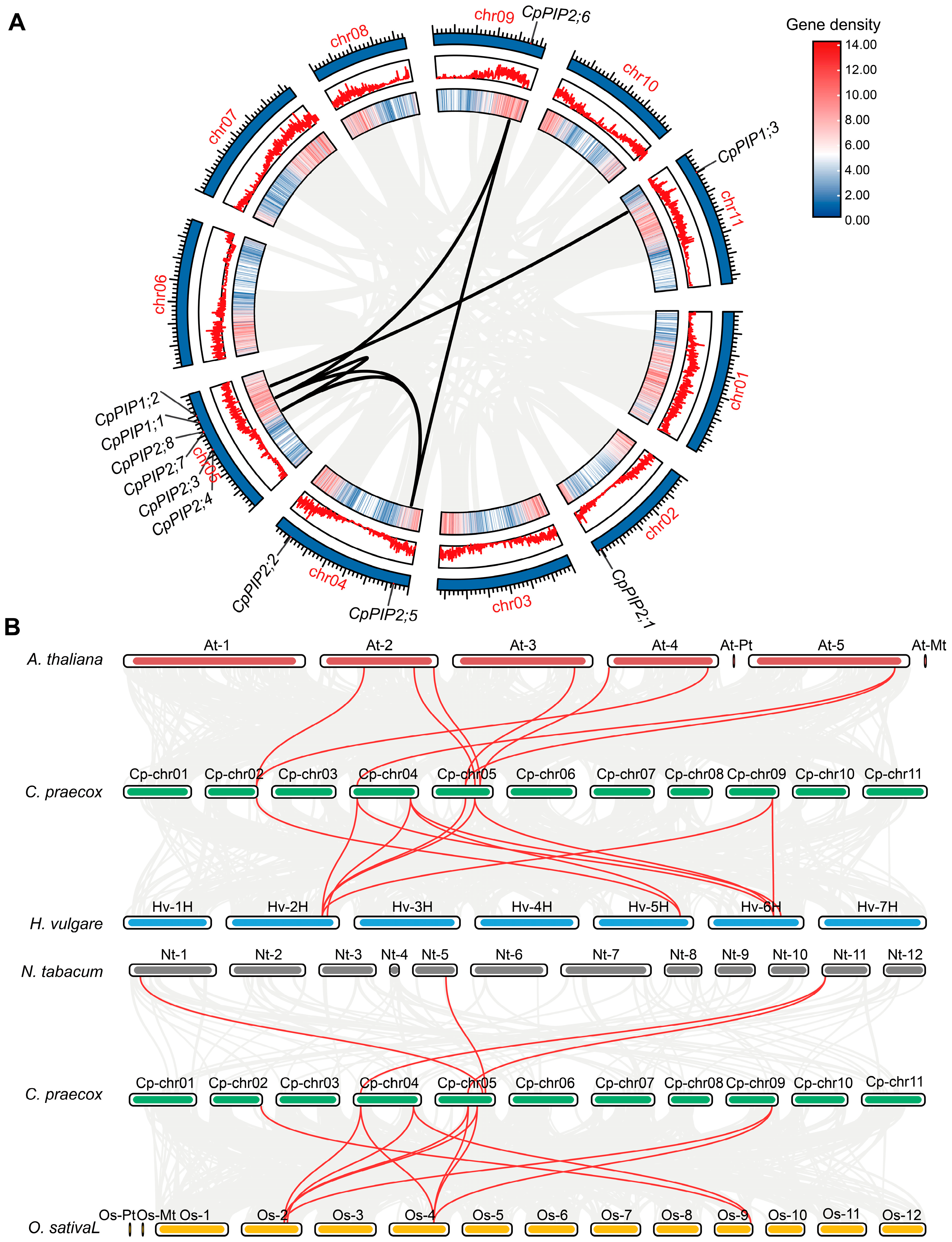Horticulturae 11 00581 g002