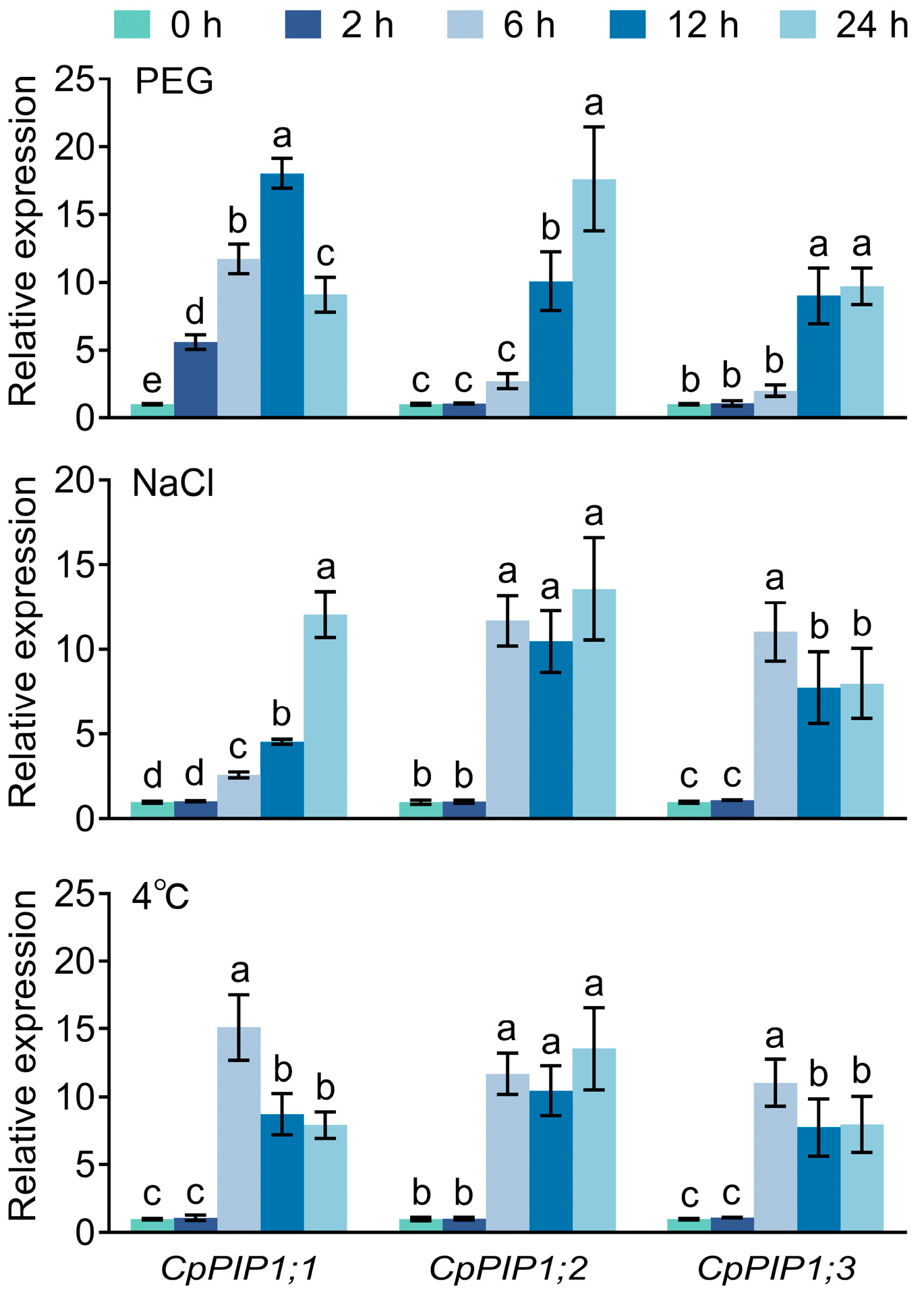 Horticulturae 11 00581 g004