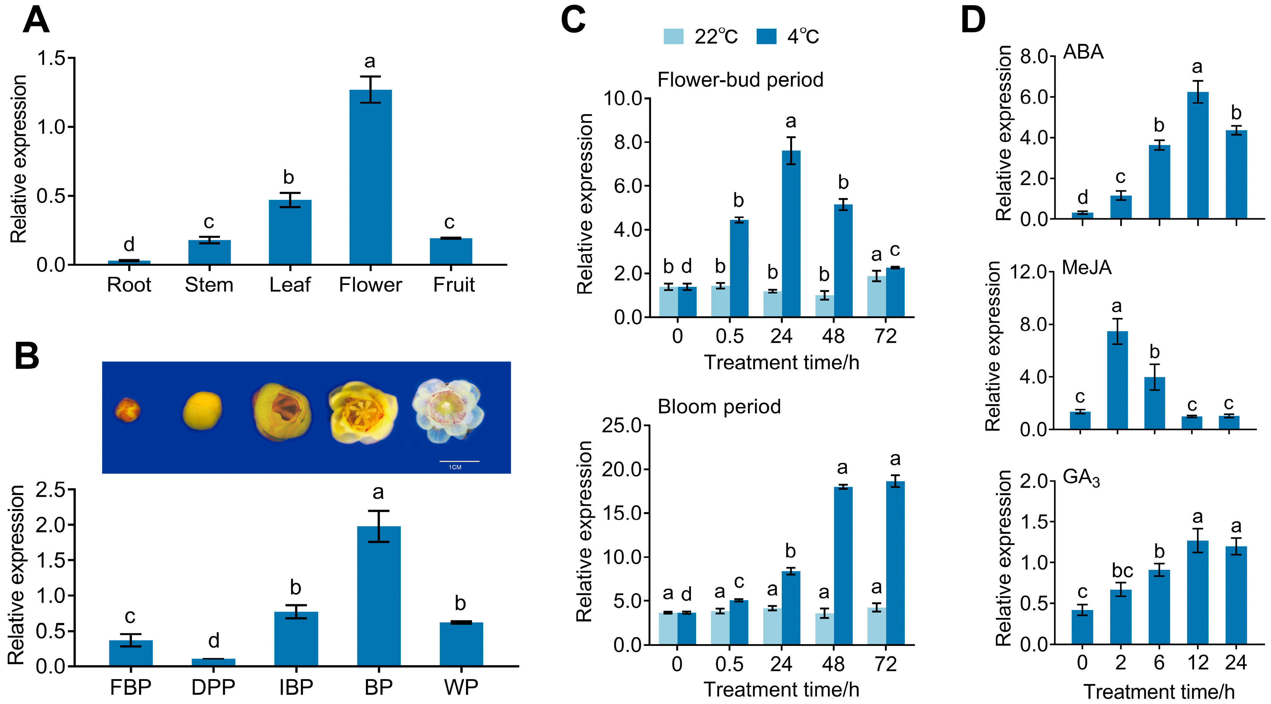 Horticulturae 11 00581 g006
