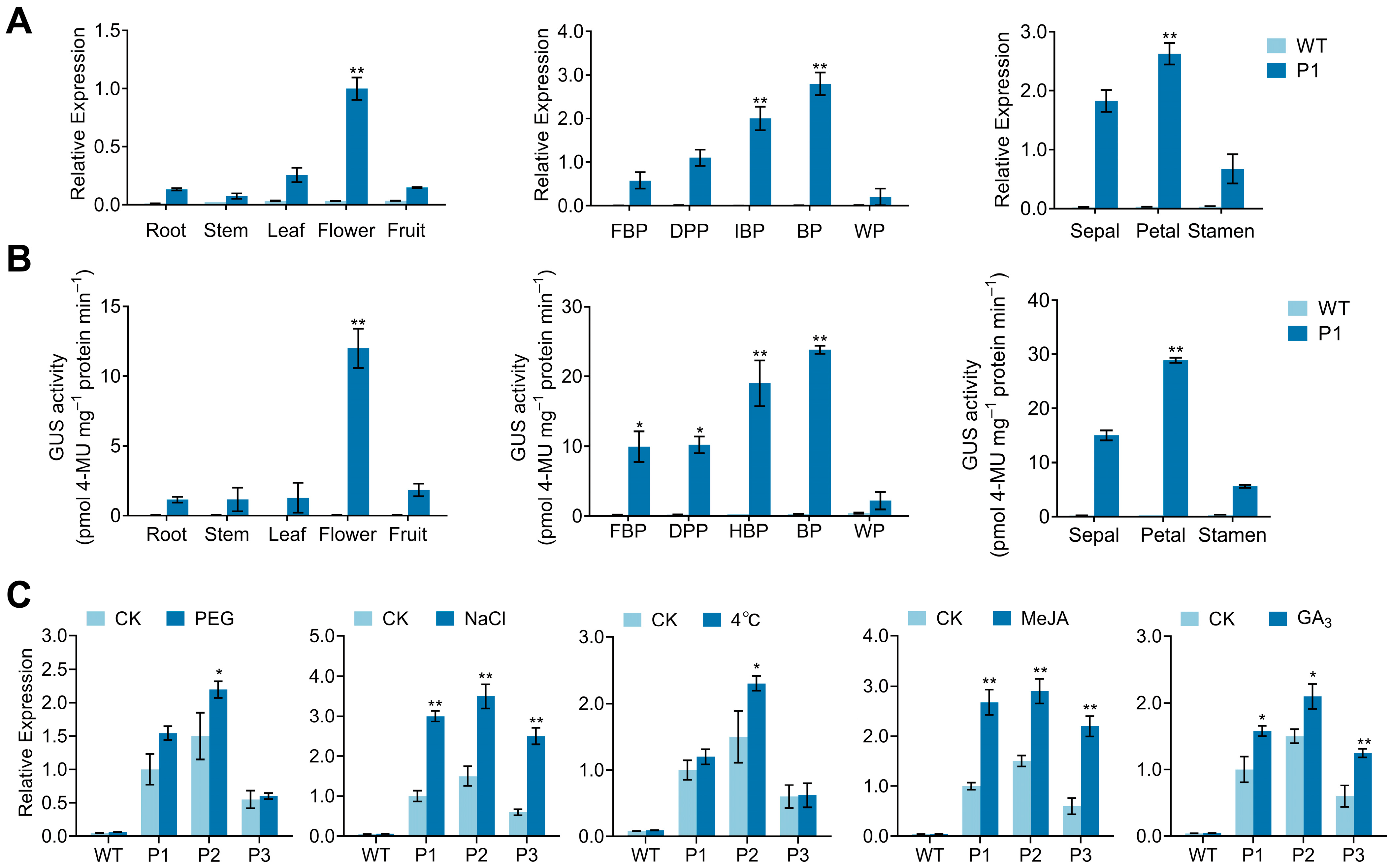 Horticulturae 11 00581 g010