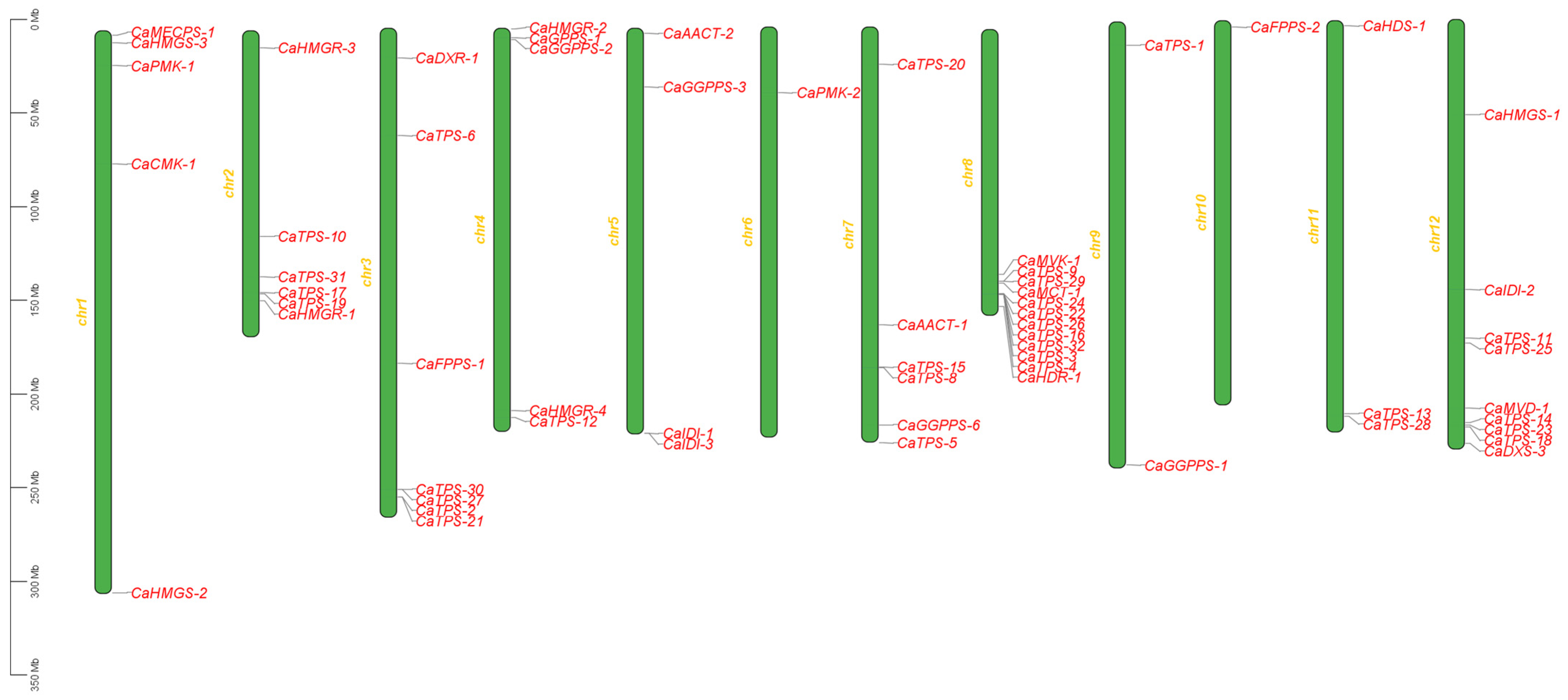 Horticulturae 11 00586 g002