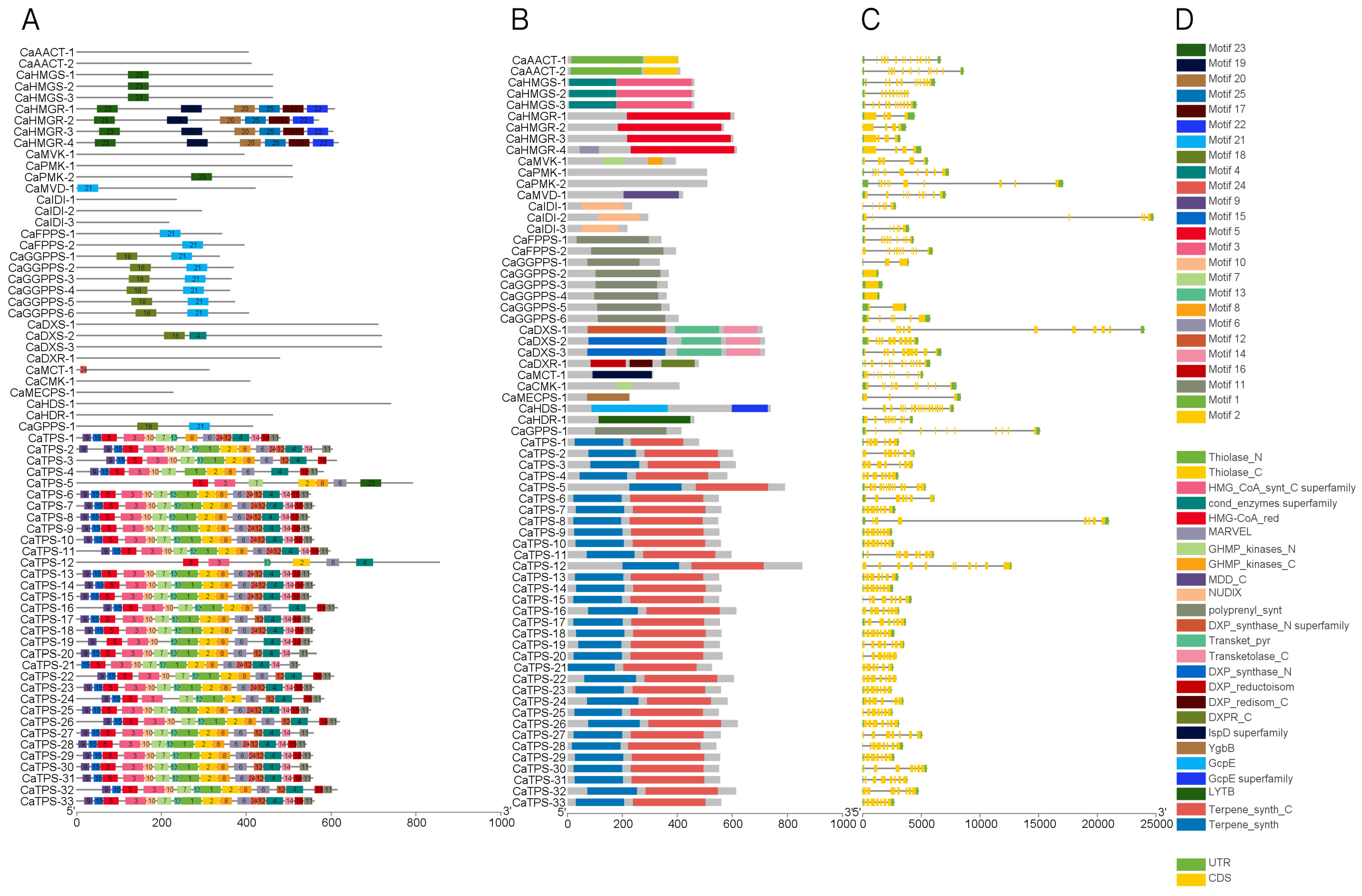Horticulturae 11 00586 g003