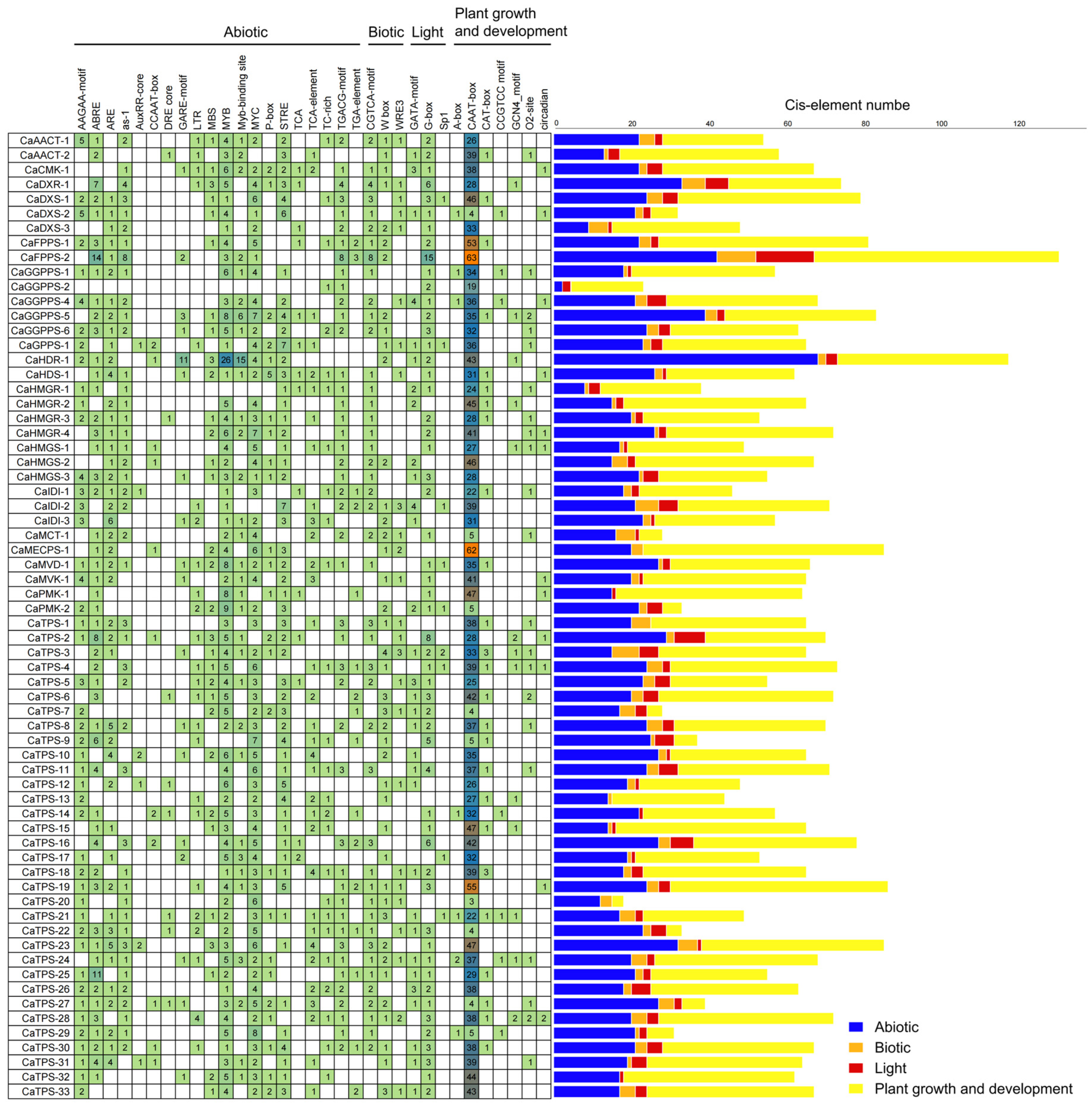 Horticulturae 11 00586 g004
