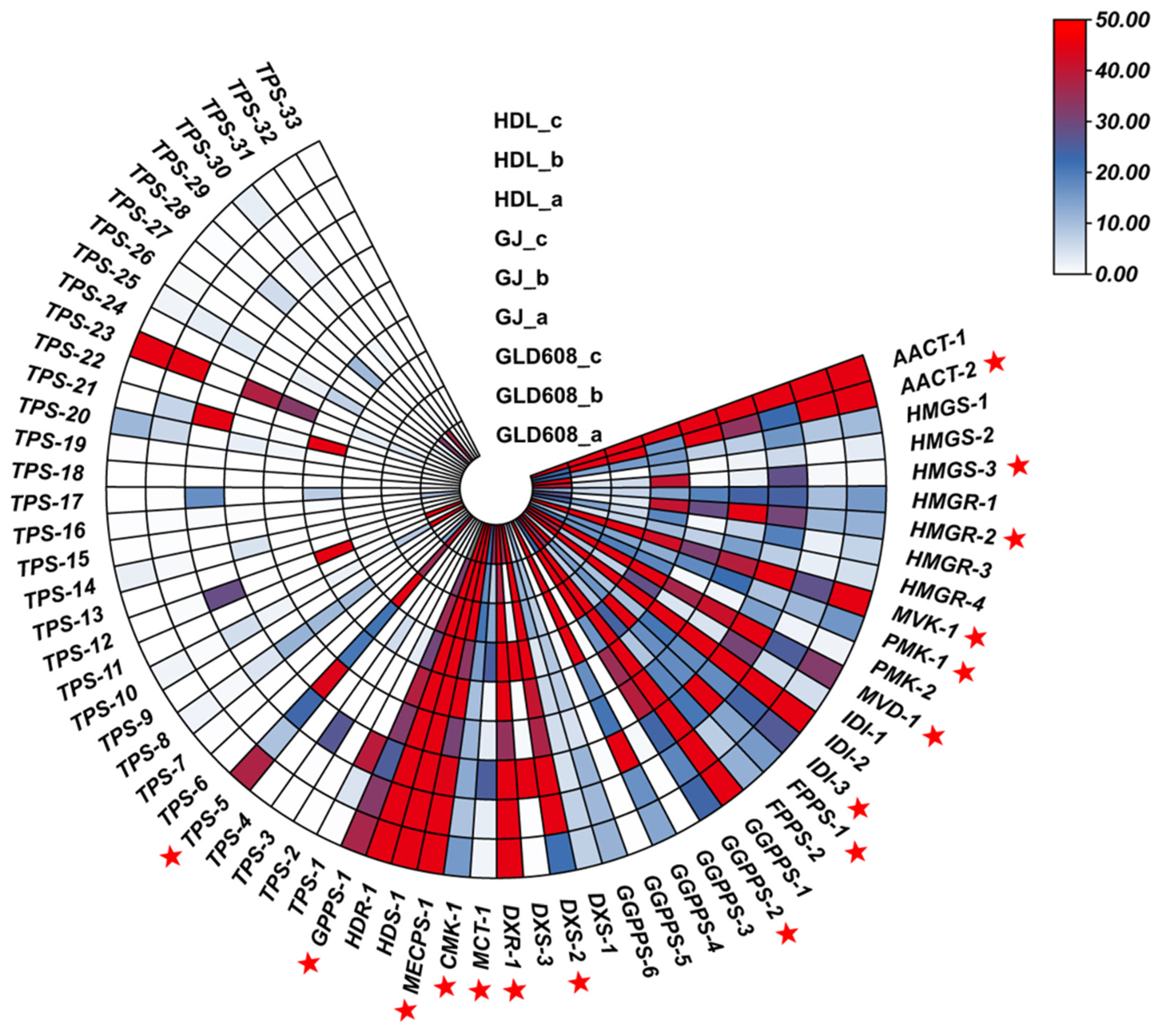 Horticulturae 11 00586 g005