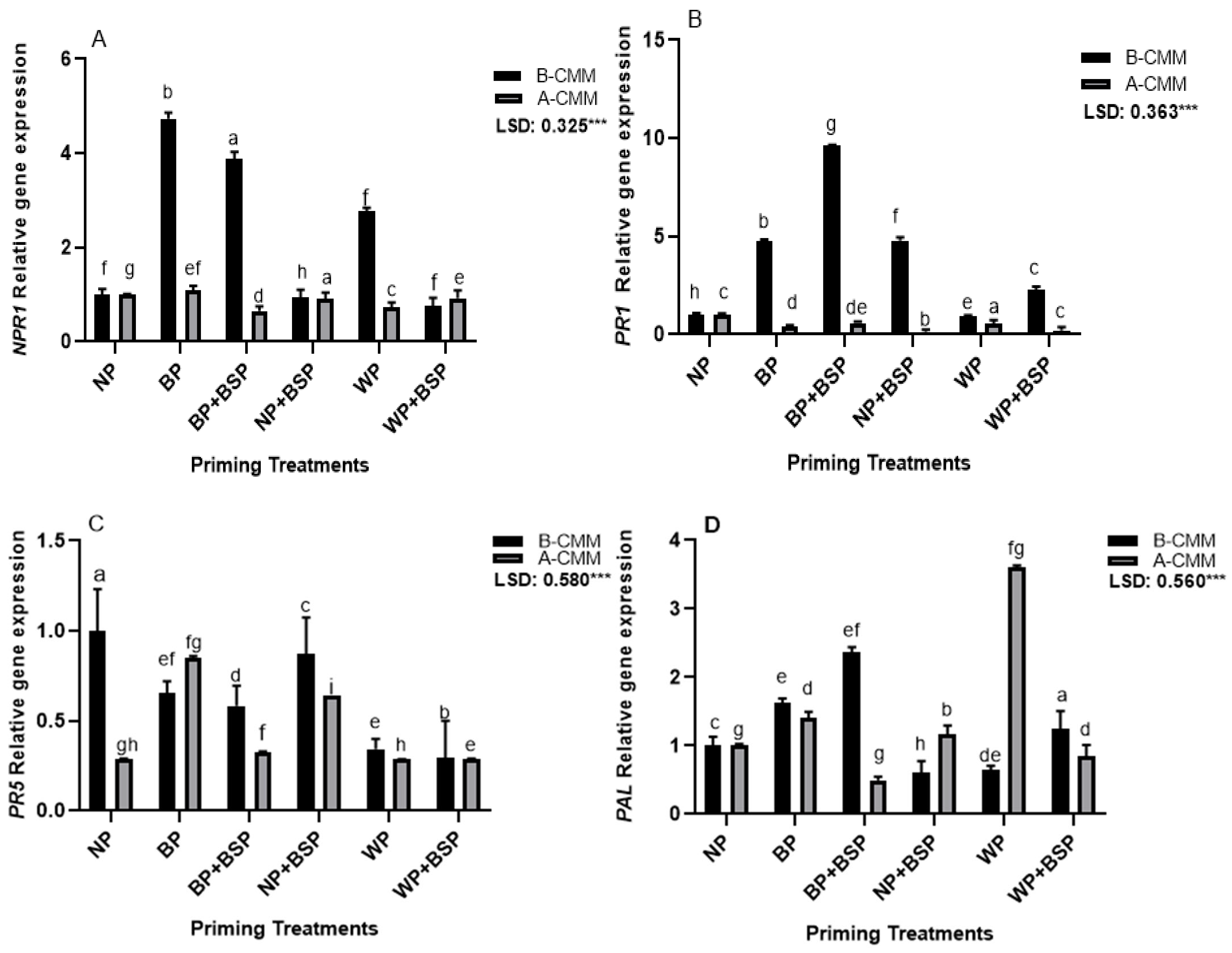 Horticulturae 11 00587 g004a