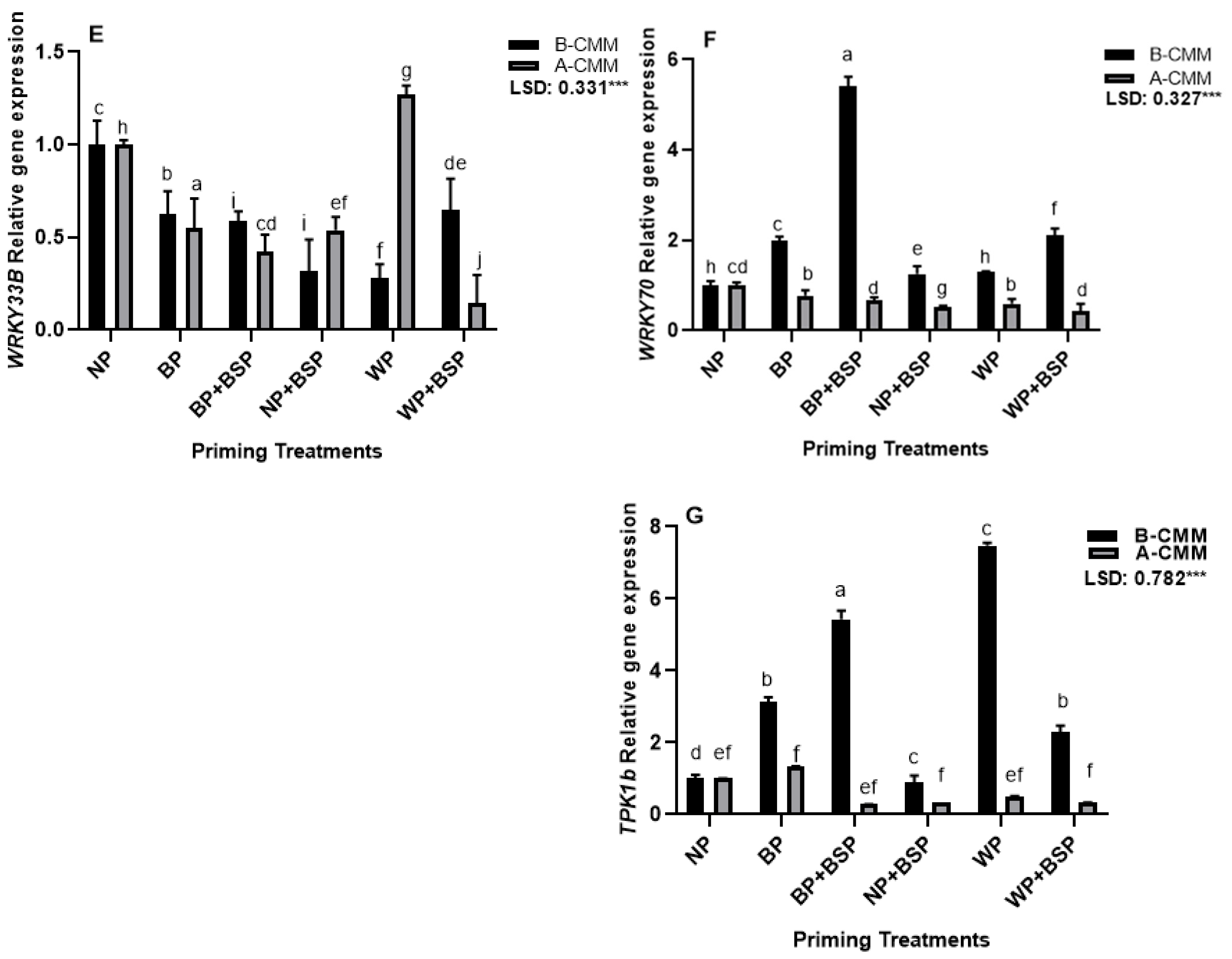Horticulturae 11 00587 g004b